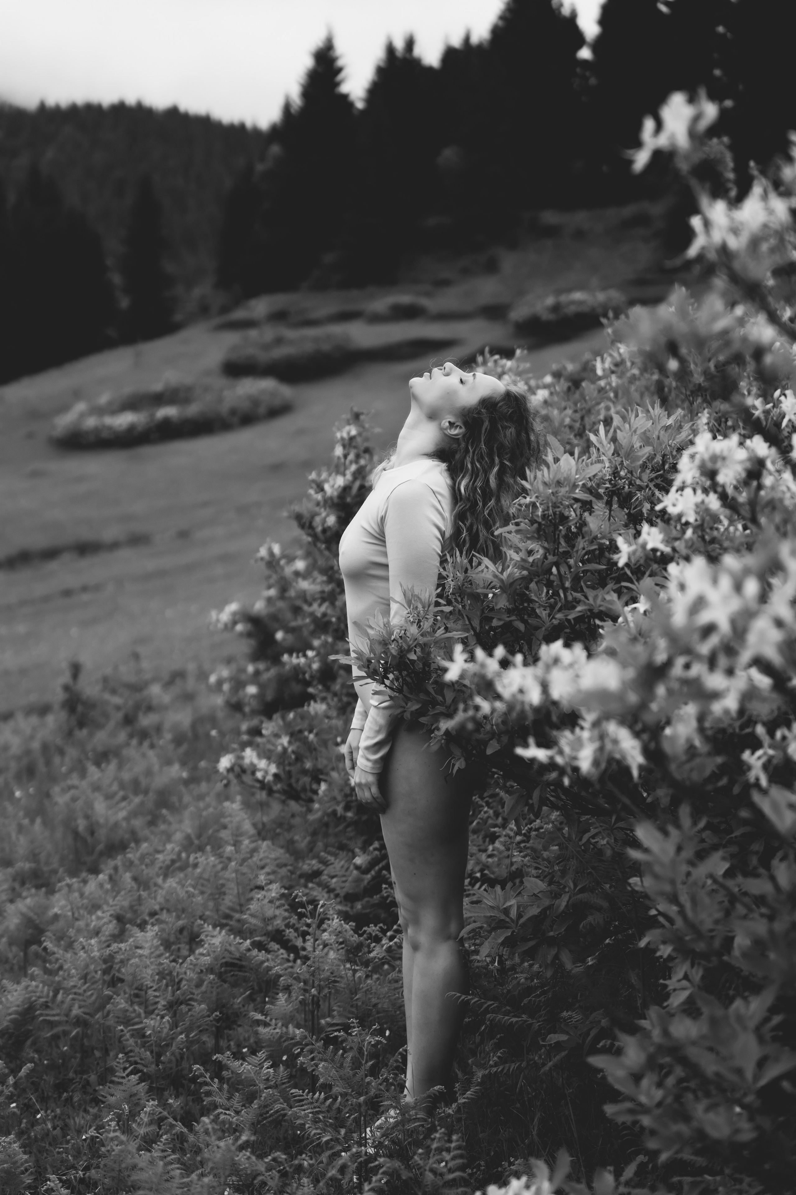 Plein air. Ekaterina Verbitskaya. Photography