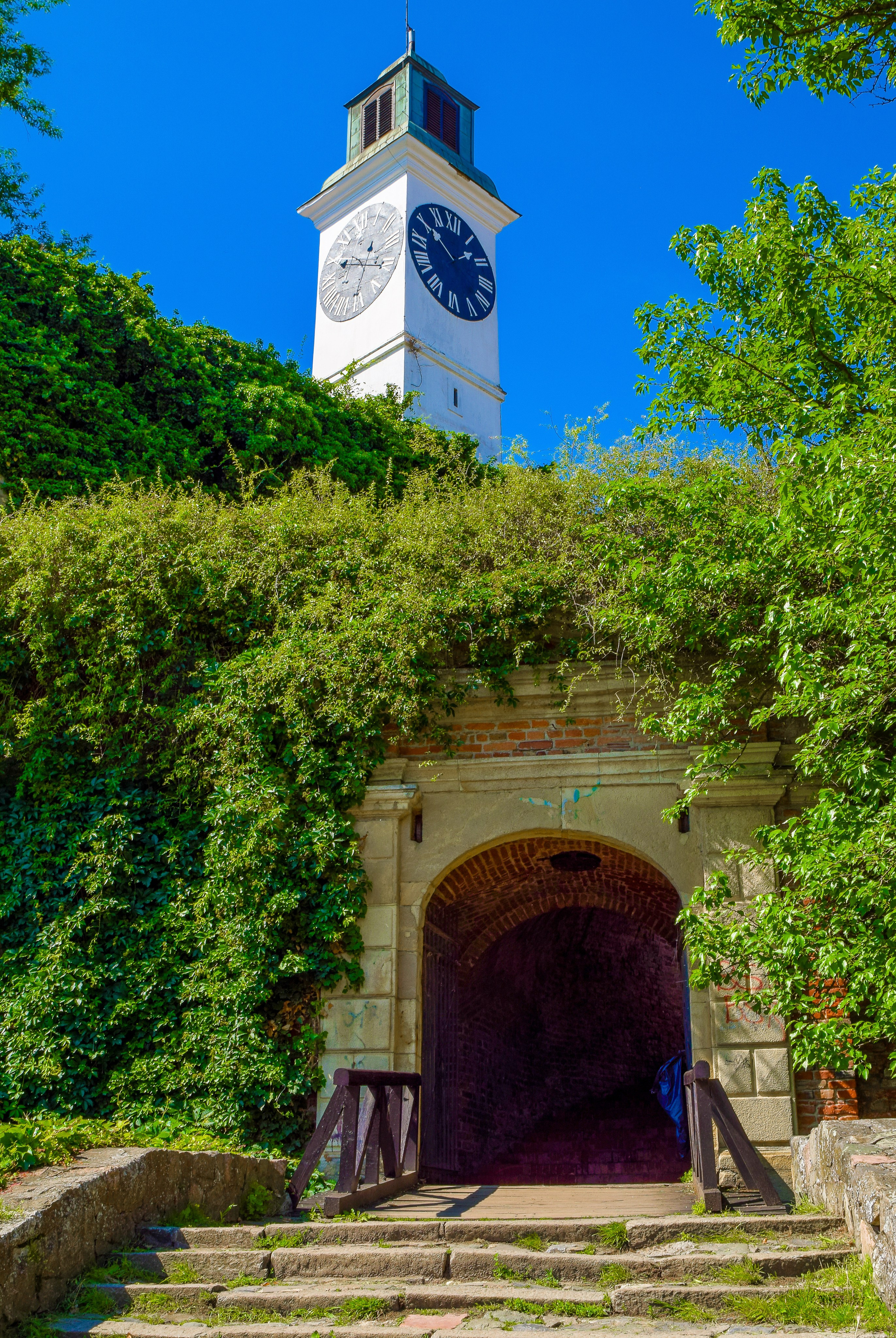 Петроварадин - галерија на продају. Викторија Федосеенко, фотограф у Србији