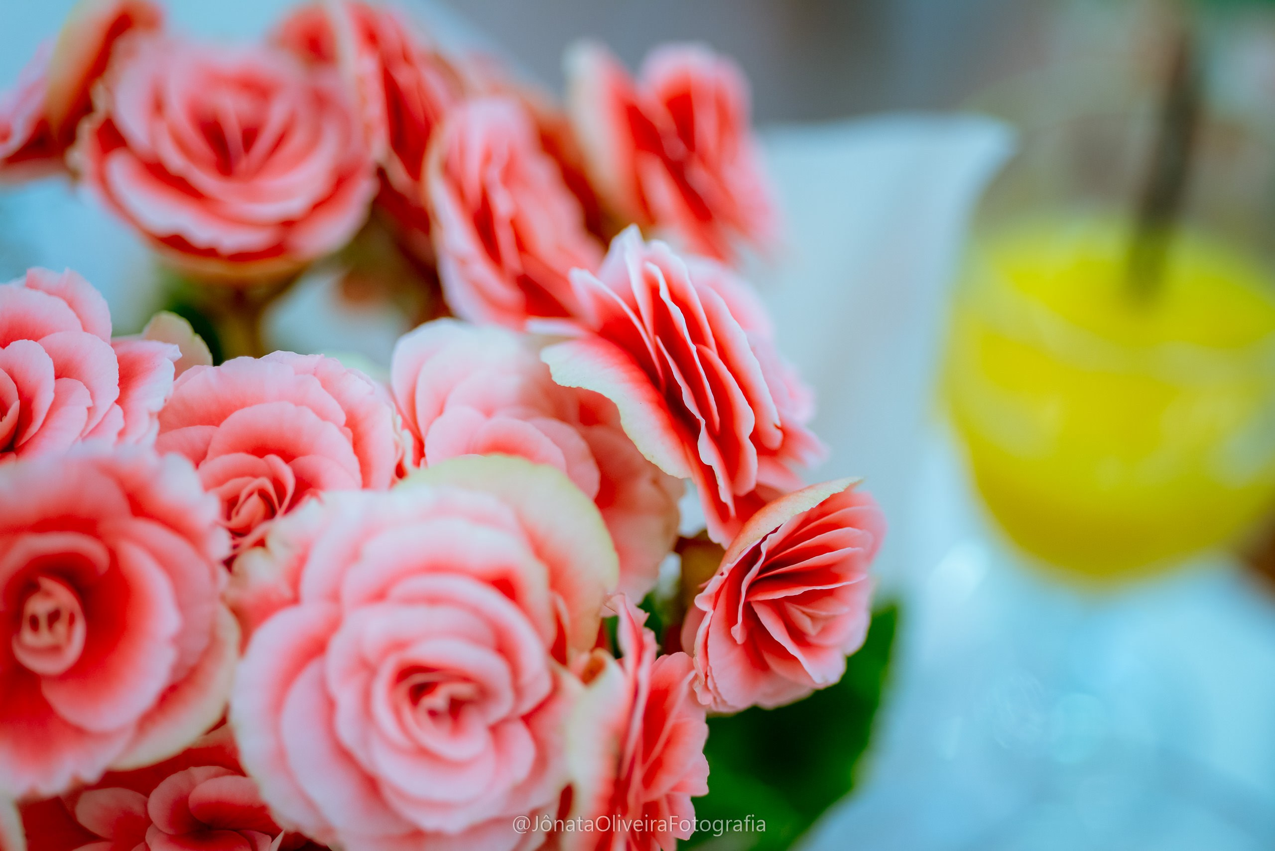 Sofia&Israel. Fotografia de casamentos e ensaios em avaré Jônata Oliveira