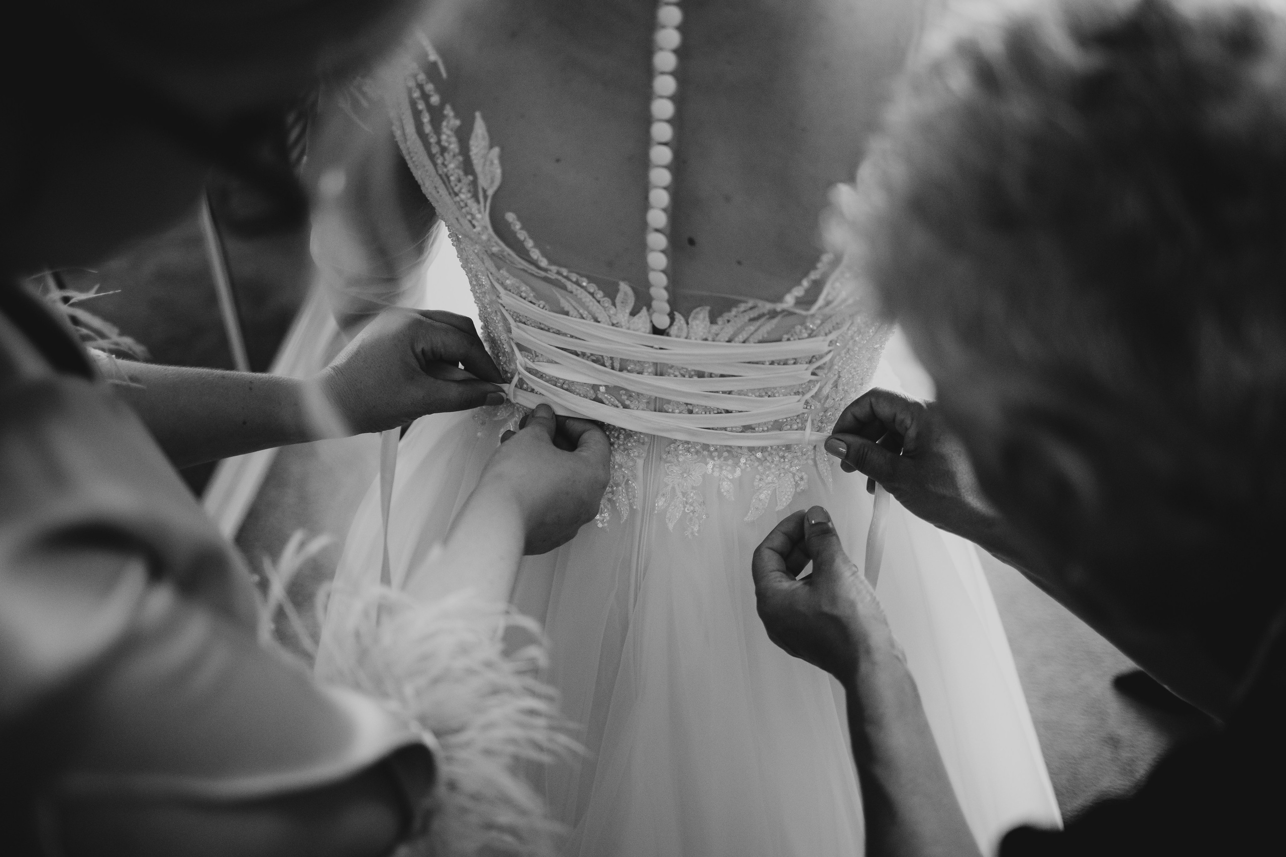 R&A. George Laslău Fotograf