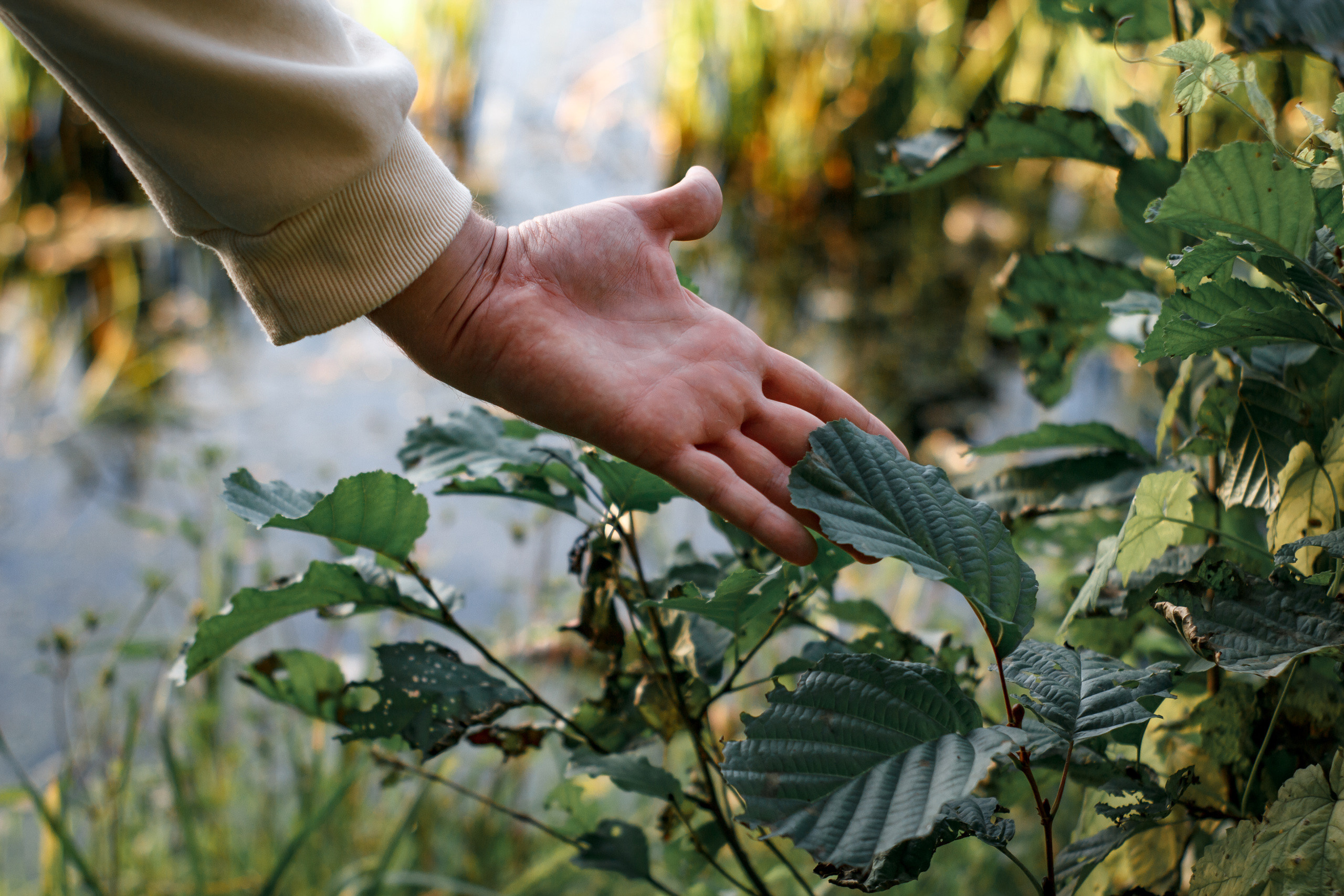 Vladislav. Wedding and portrait photographer in Beograd Ekaterina Makedonskaya