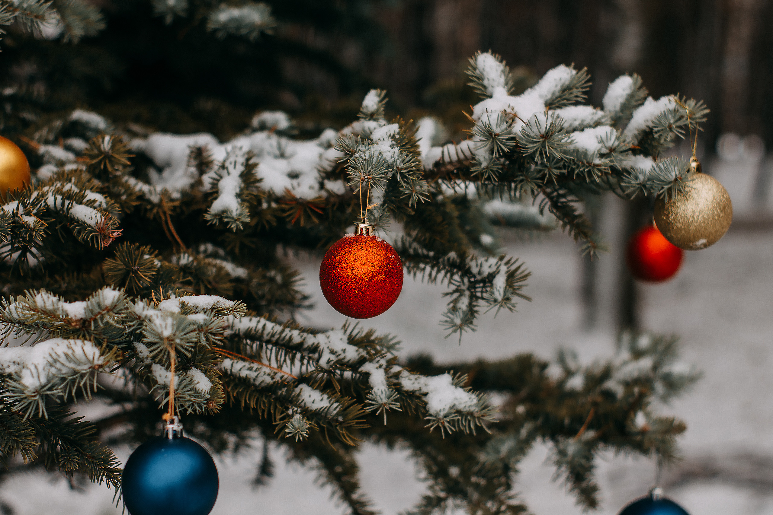 Katya with Danya. Wedding and portrait photographer in Beograd Ekaterina Makedonskaya