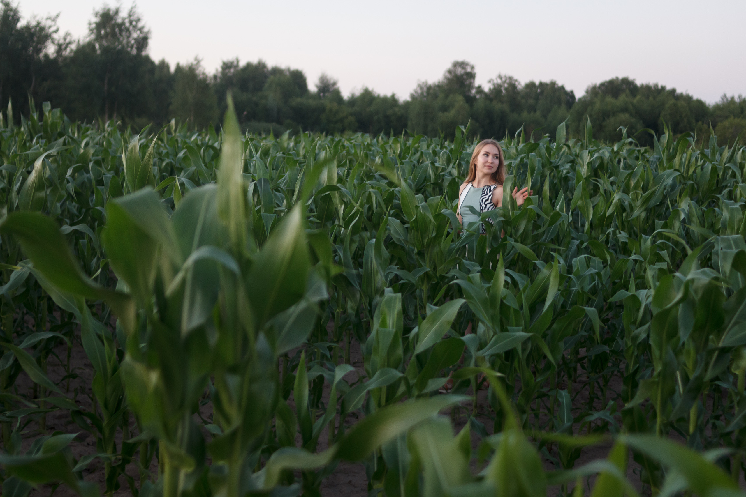 Марина на поле. Свадебный и портретный фотограф в Белграде Екатерина Македонская