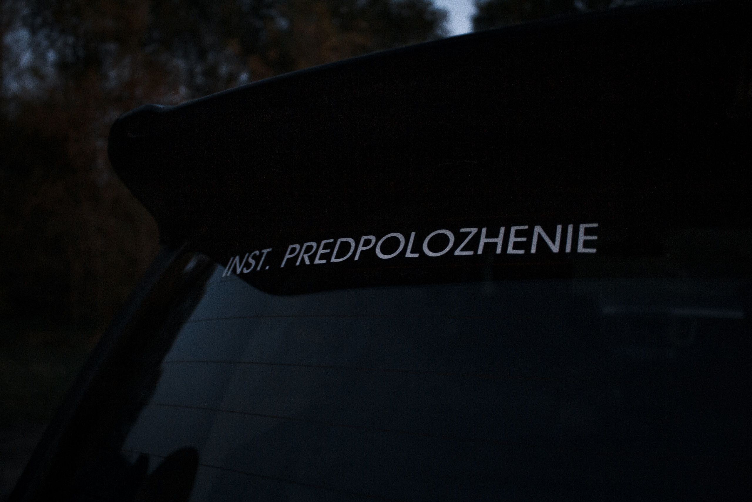 Vladislav. Wedding and portrait photographer in Beograd Ekaterina Makedonskaya