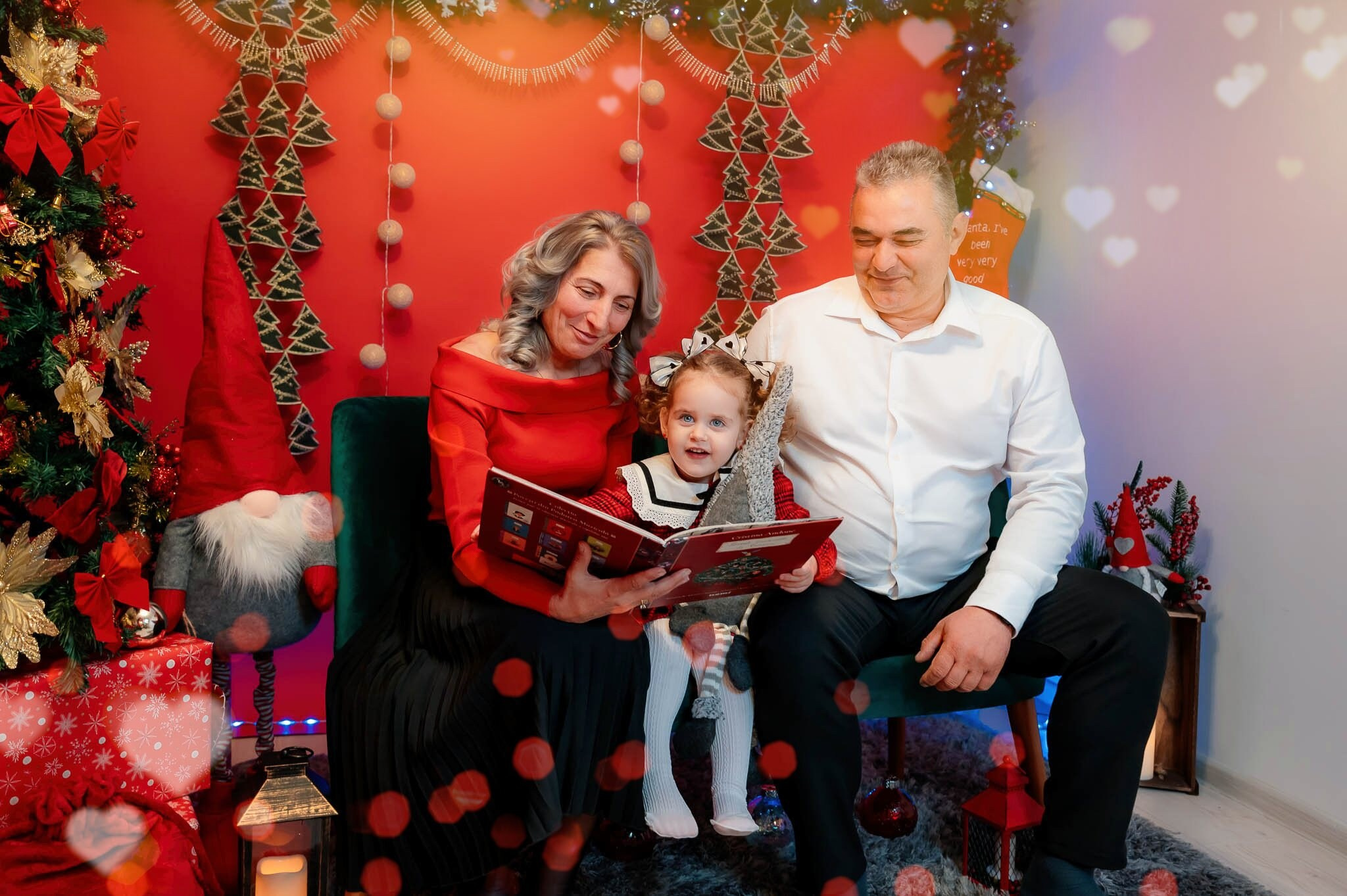 Sedinta Craciun Ioana