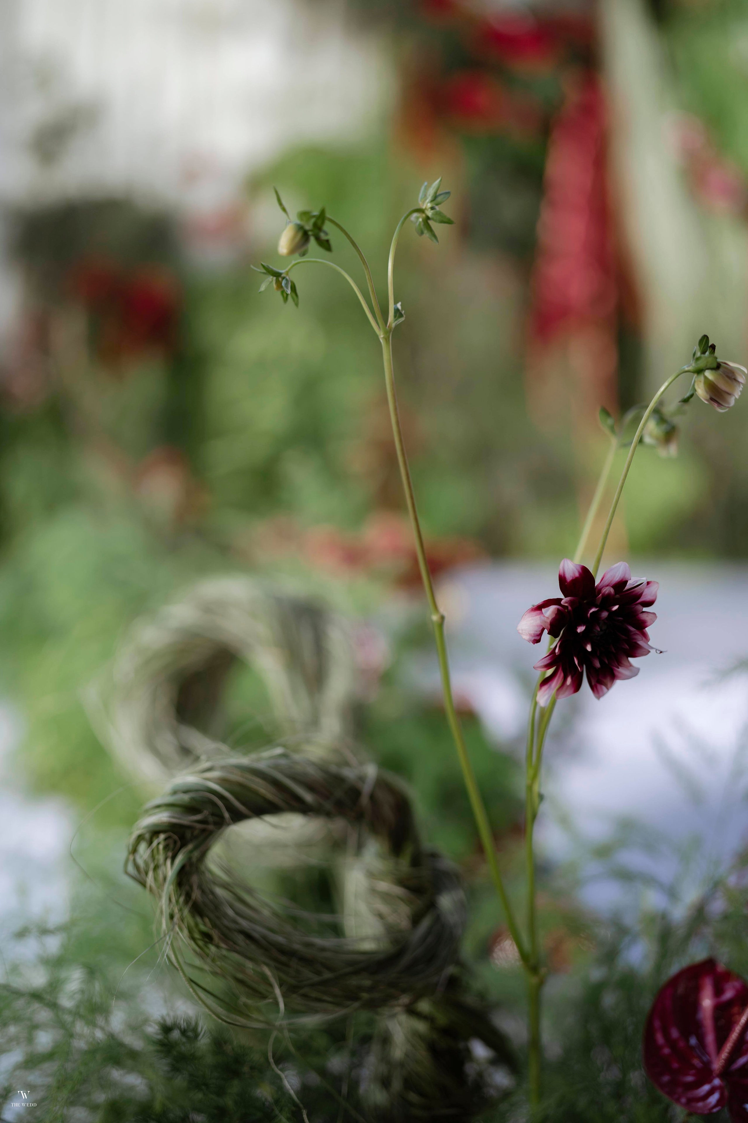 NGHIA & NGOC. WEDDING PHOTOGRAPHER IN VIETNAM