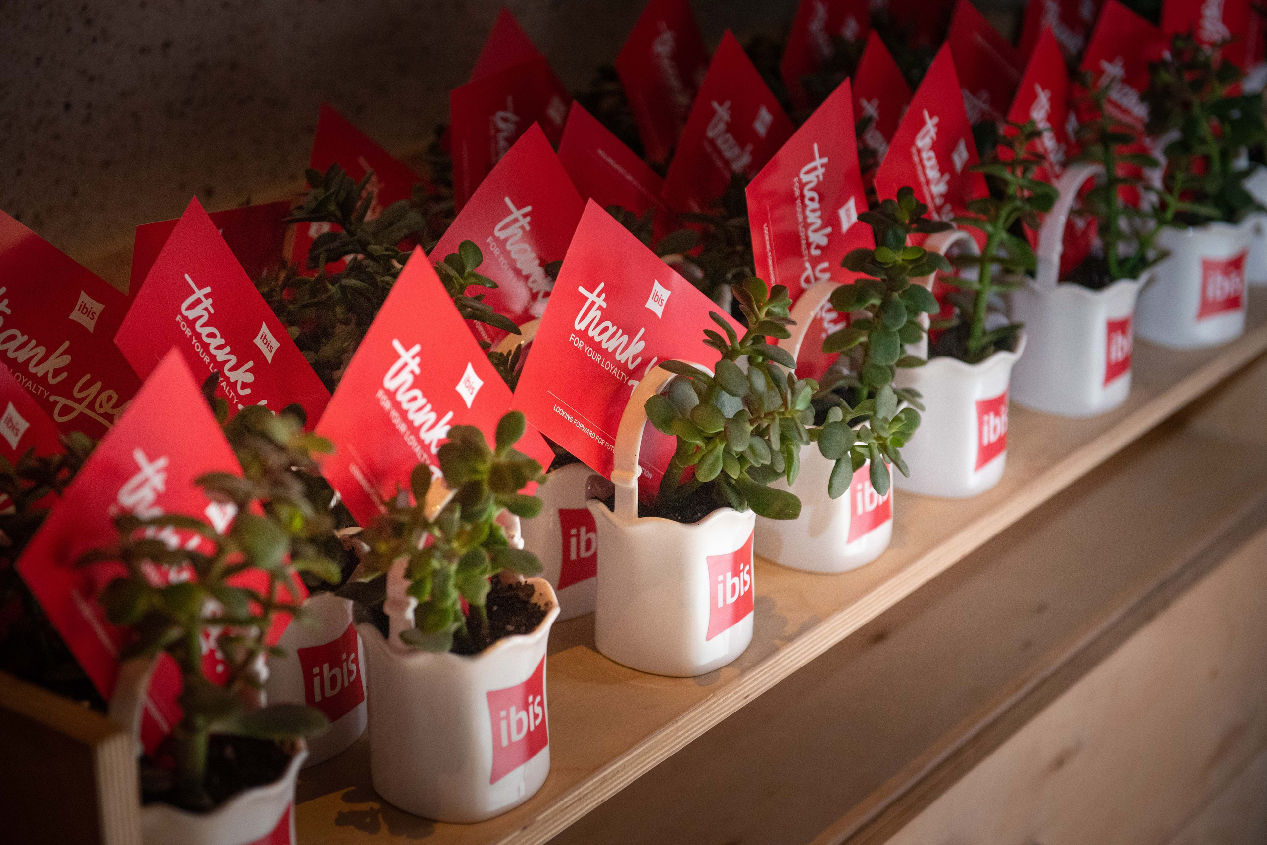 Event photography. Photographer in Tbilisi