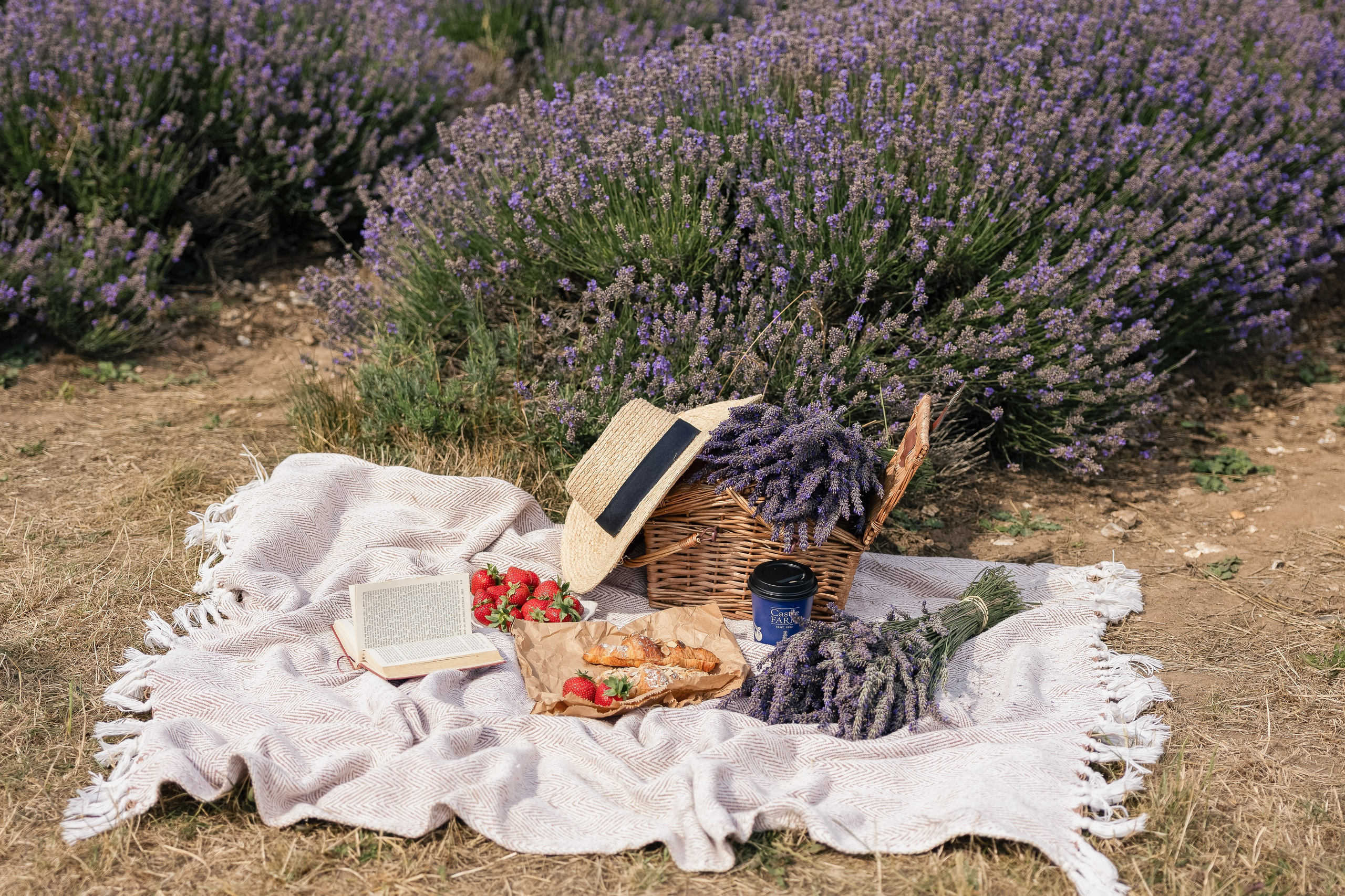 Lavender Picnics. PHOTOGRAPHER IN LONDON