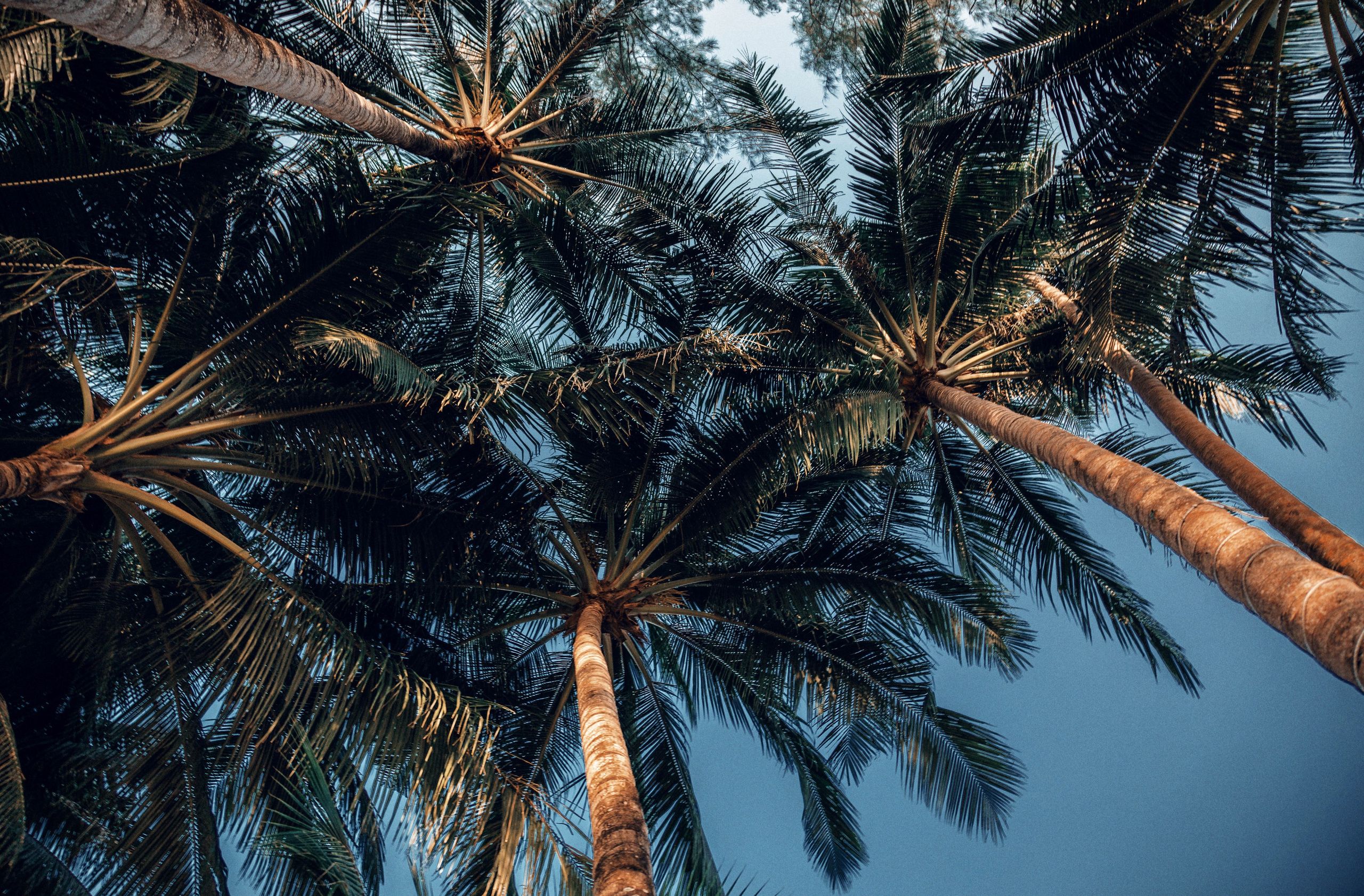 Wedding. Fotógrafo en España y Valencia