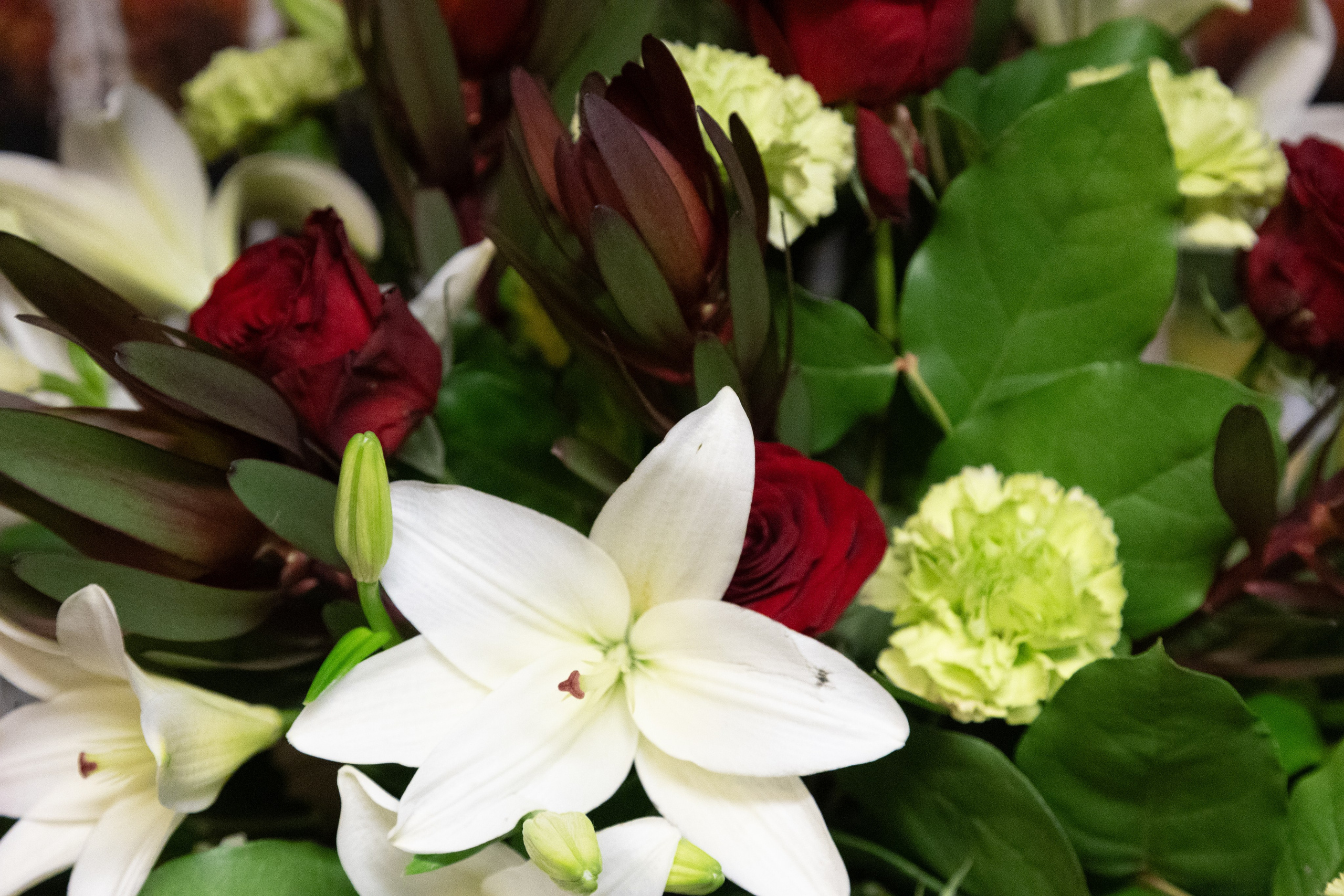 Opdag vores imponerende udvalg af begravelseskranser, herunder vores smukke Dekorative Kranse. En tidløs klassiker til den sidste afsked. Vi bruger sæsonens blomster i en høj og storslået dekoration, fastgjort på en smuk grøn thujakrans. Disse kranses mangfoldighed af blomster skaber en smuk scene på kirkegulvet. 