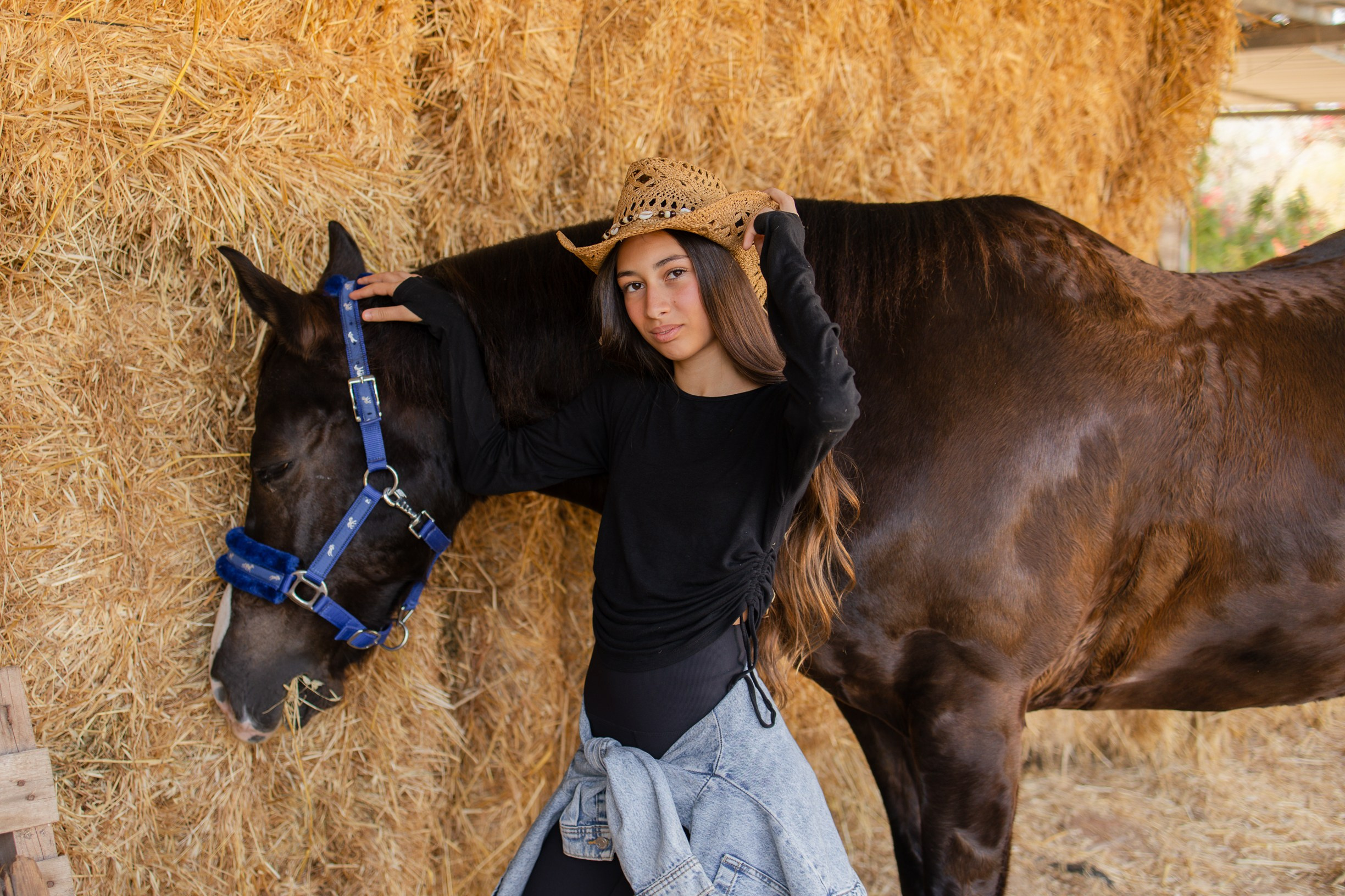 חוות סוסים בת מצווה. דף בית