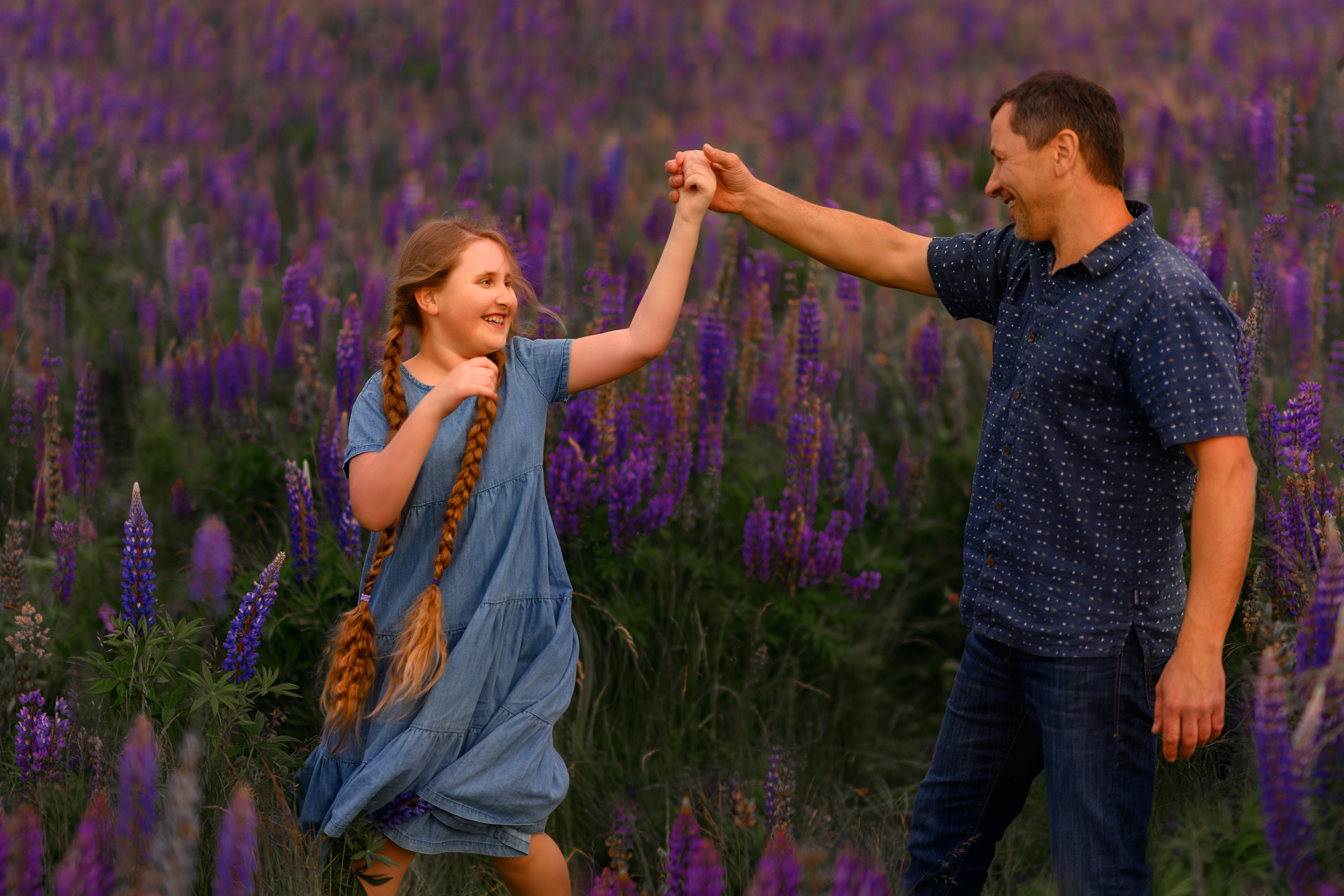 Field of lupines. Wedding & portrait photography in the Seattle Area. Helen Michelle photographer
