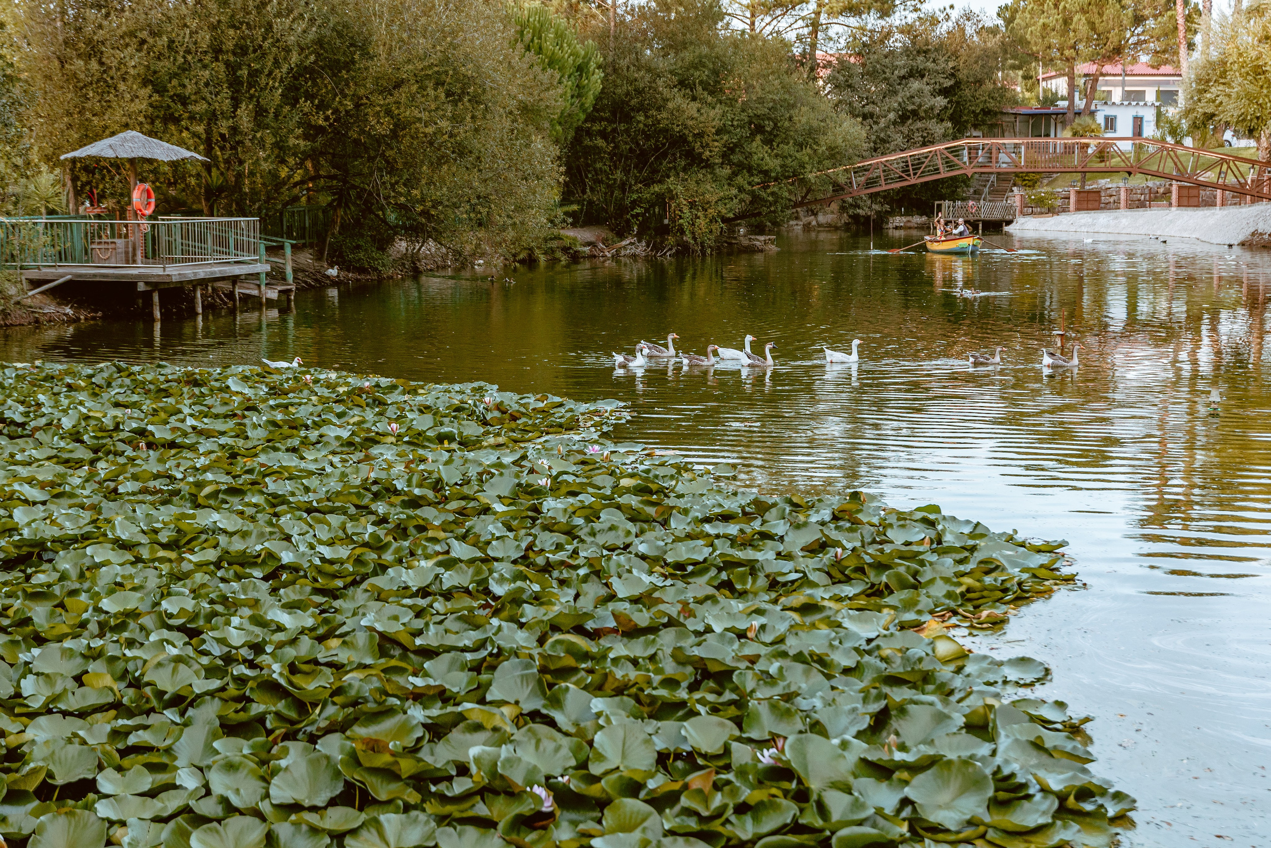 Galeria e Filme de Casamento — Sara e Luis — Quinta Júlia dos Ovos. Fotografia e Filmes de Casamento de Luxo | Portugal & Destination Weddings | Ricardo & Mary Pictures