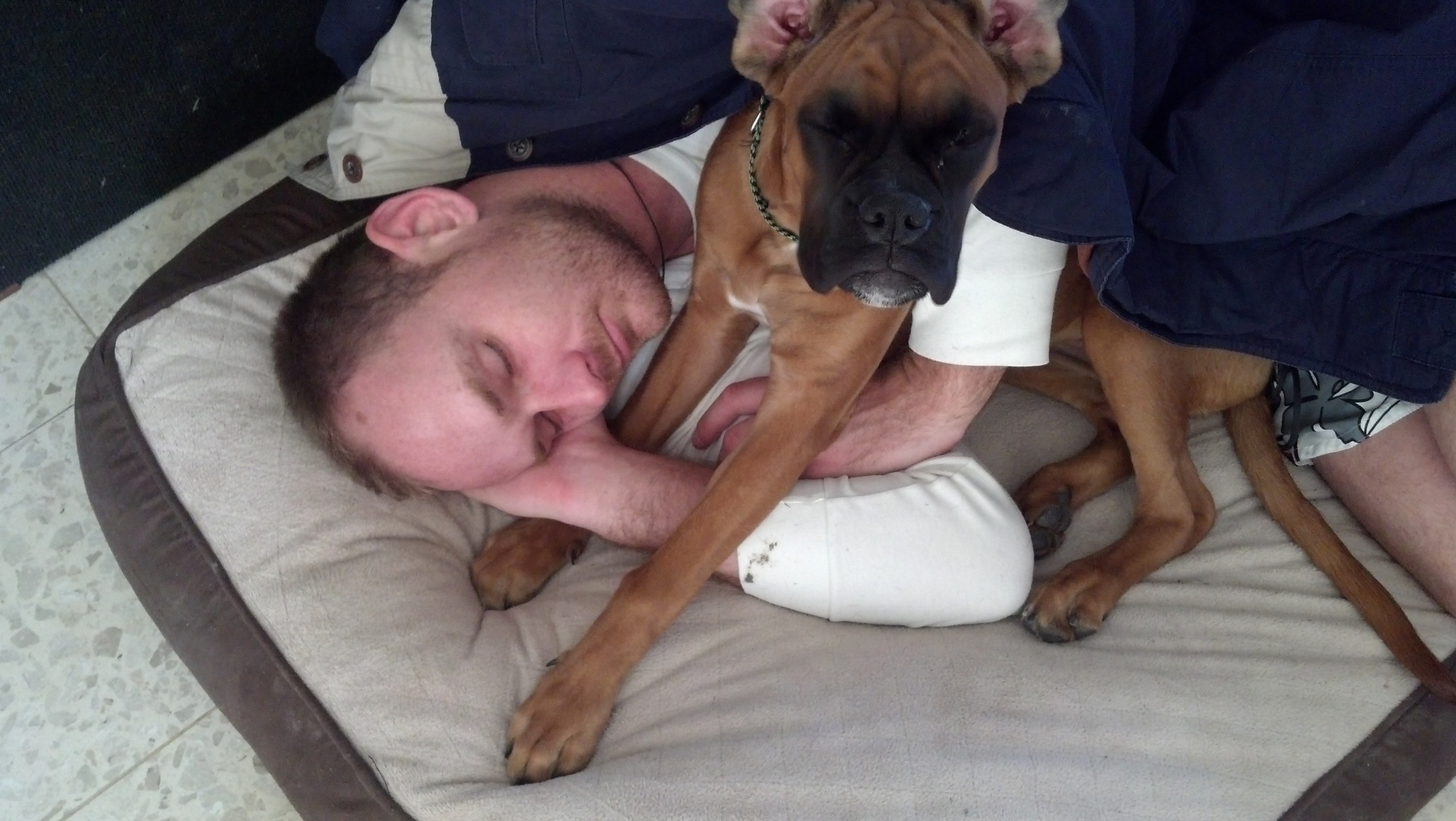 My ״Star״ Boxer Dog