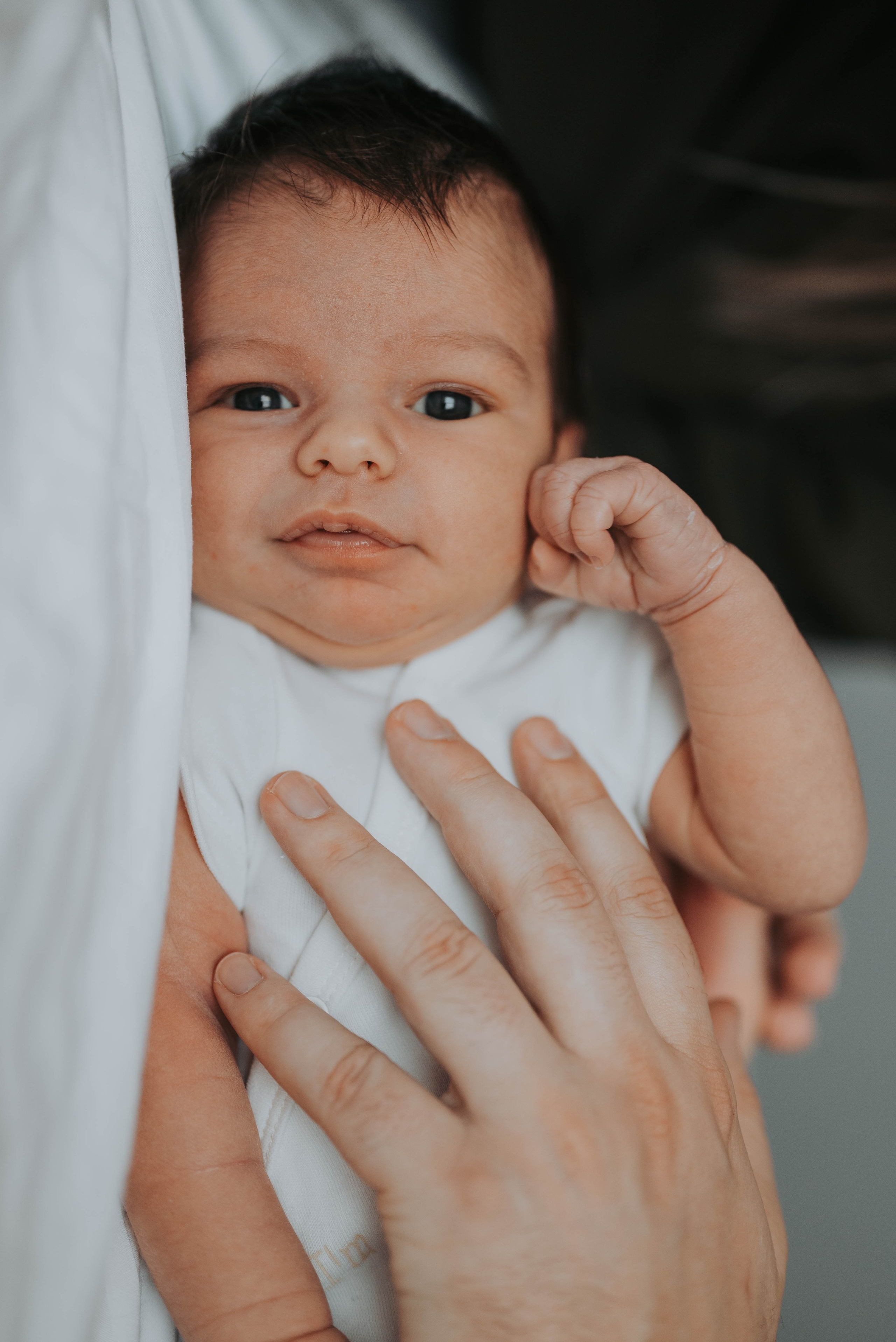 Vuk - fotografisanje bebe kod kuće. Dečiji i porodični fotograf