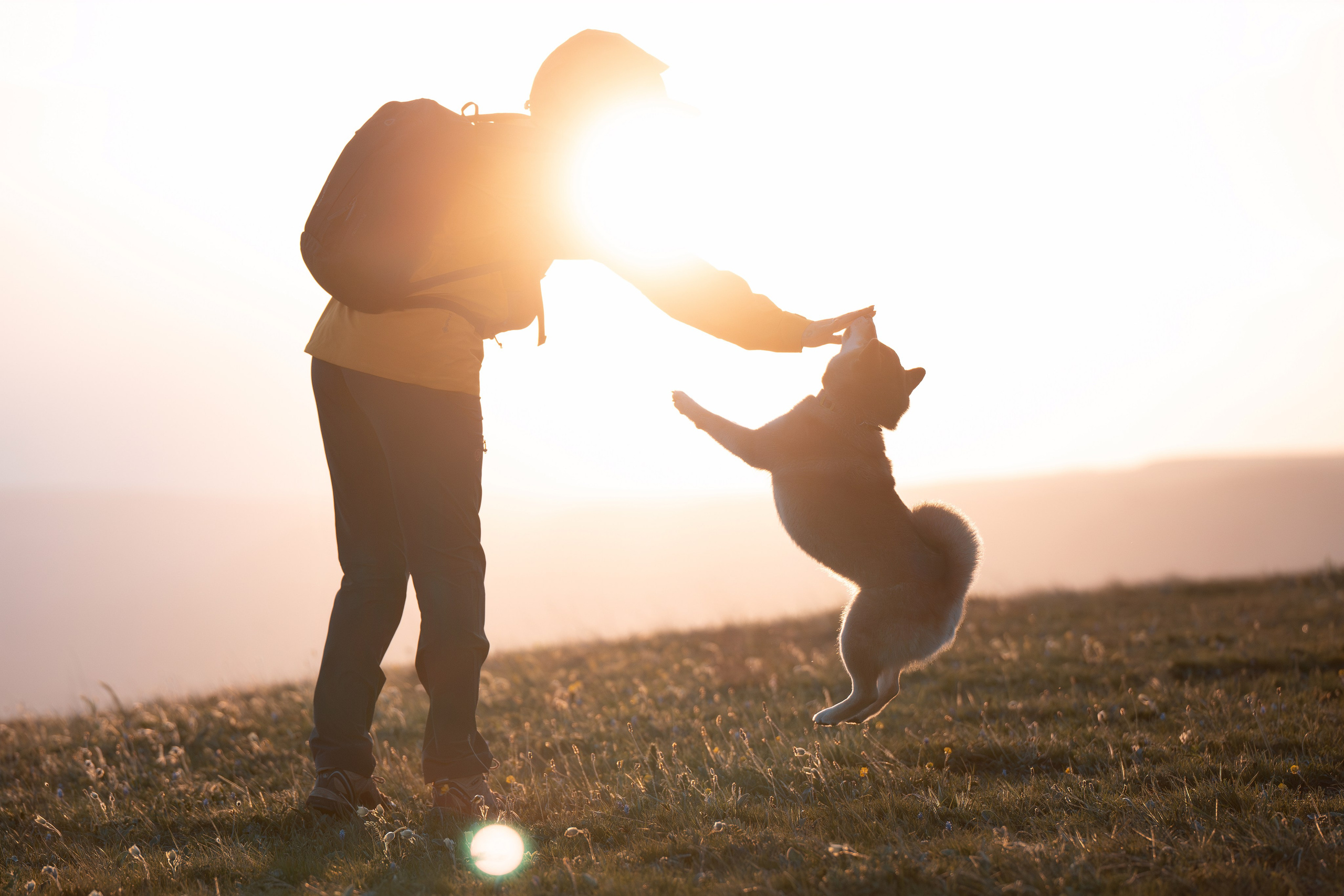 Контент. Фотографы Дарья и Дмитрий Арсентьевы