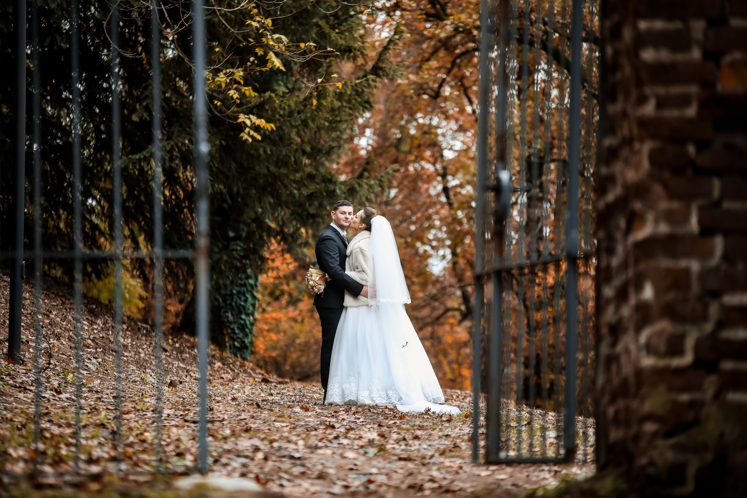 Best OFF2023. Soldan Studio