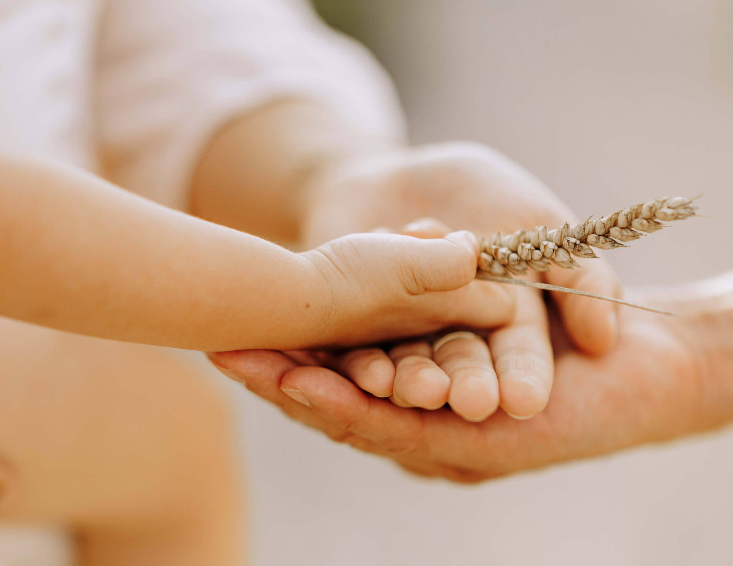 AUF DEM KORNFELD. Family Fotografer in München und Umgebung