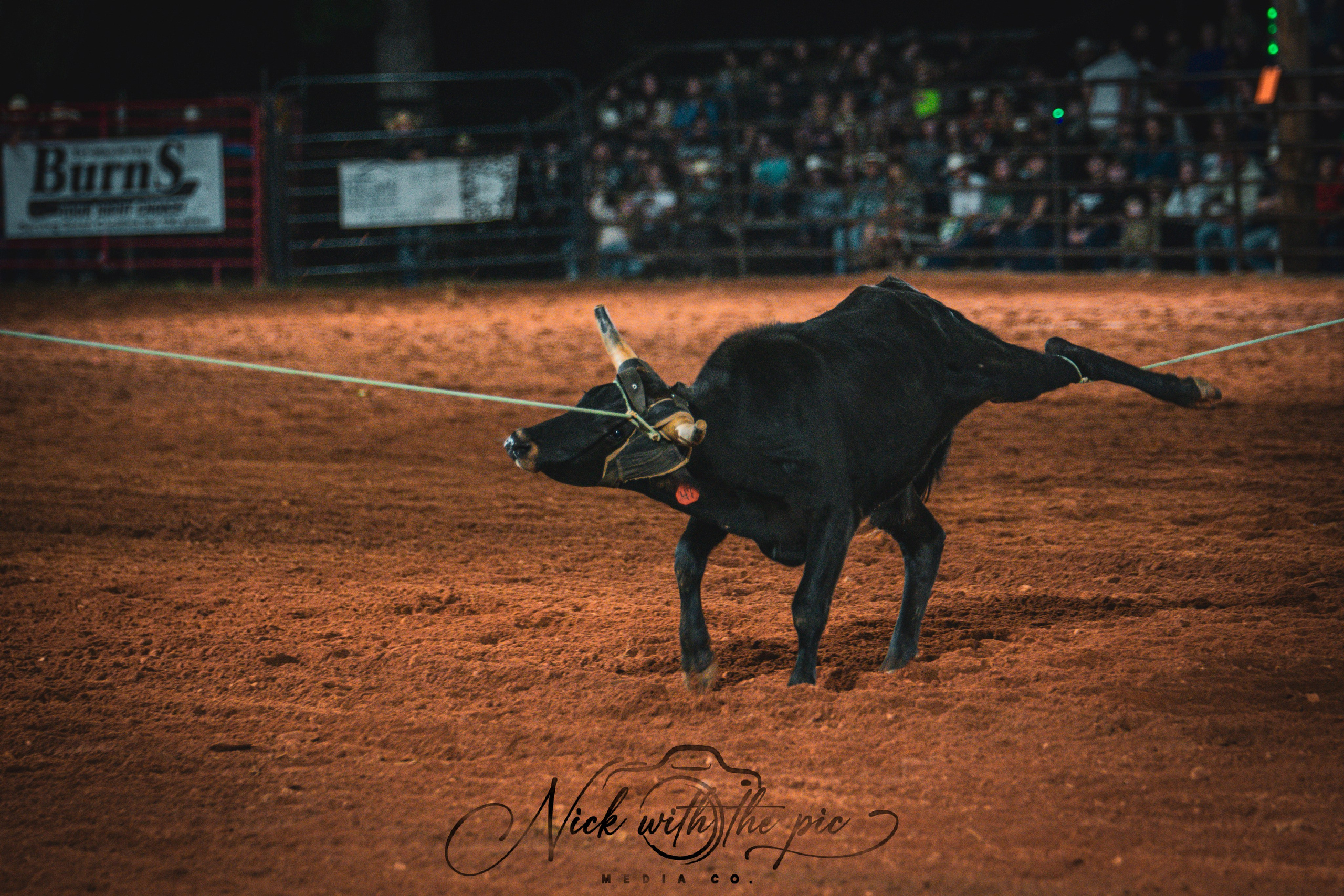 Black Hawk Ranch Rodeo 2026. Nick With The Pic Media Co