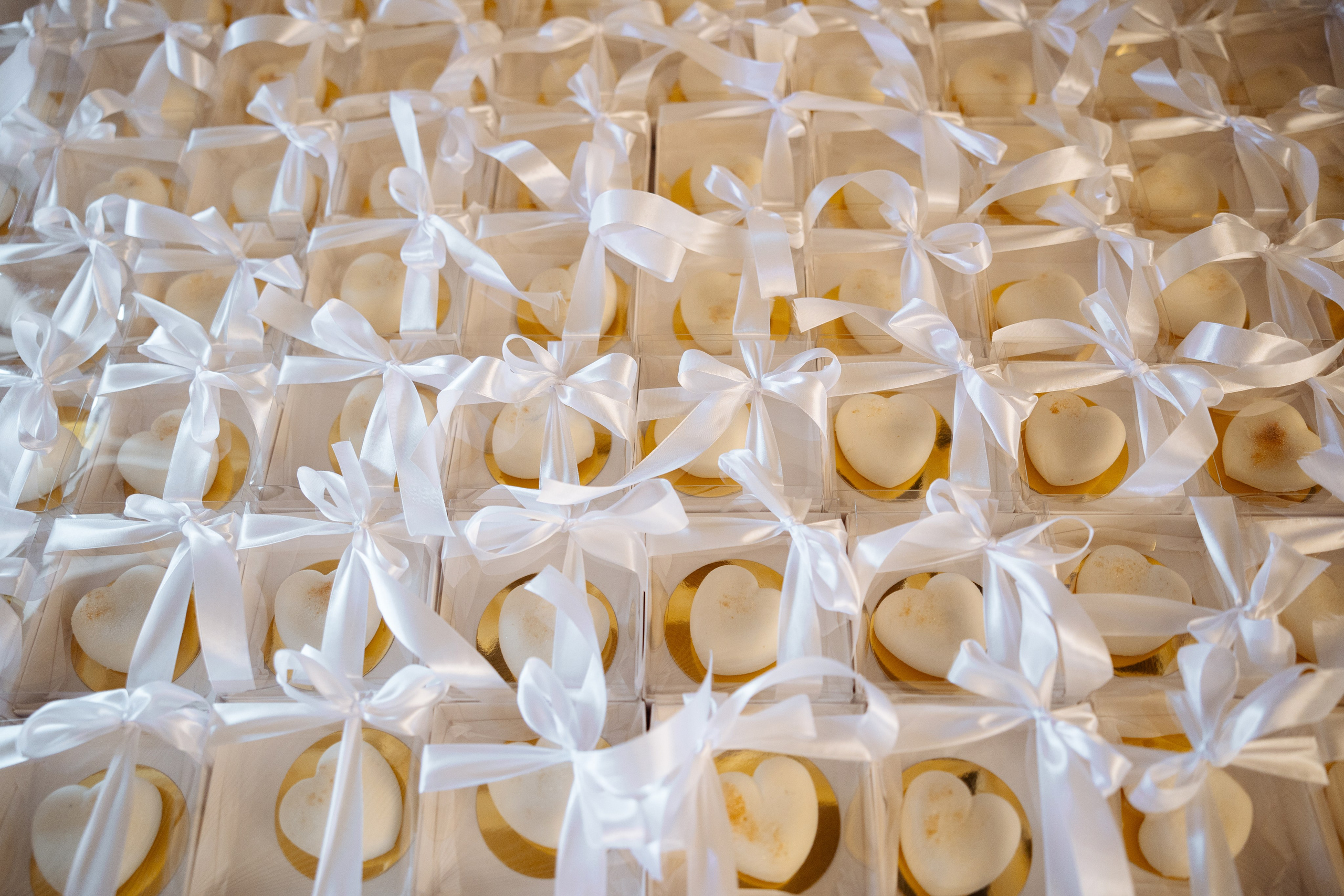 Diana Vlad. Ірина Терещук