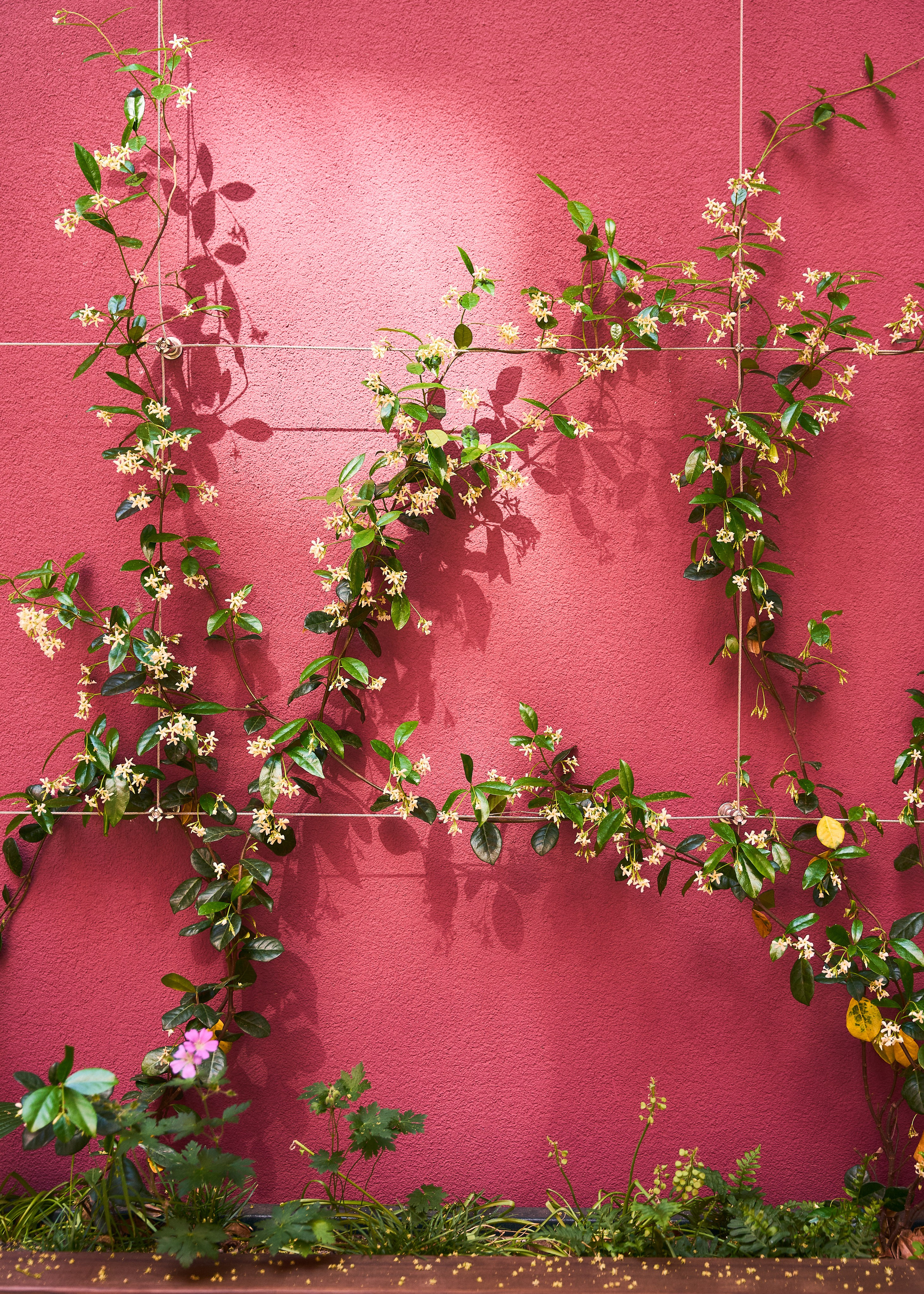 The Companion hotel | Vienna. Creative photographer for your business
