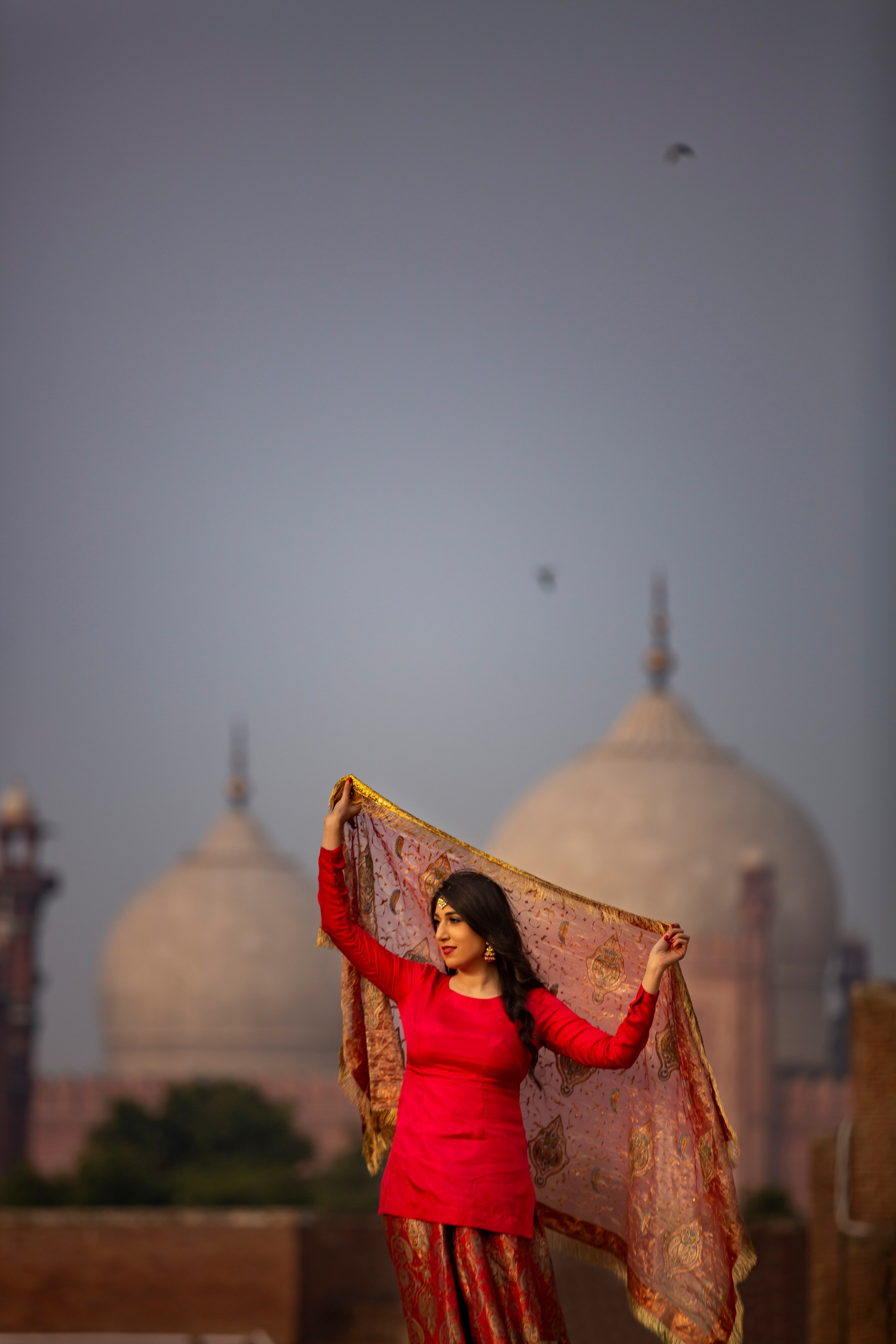 Portfolio. Chaar Bhai — Your Personal Family Historians