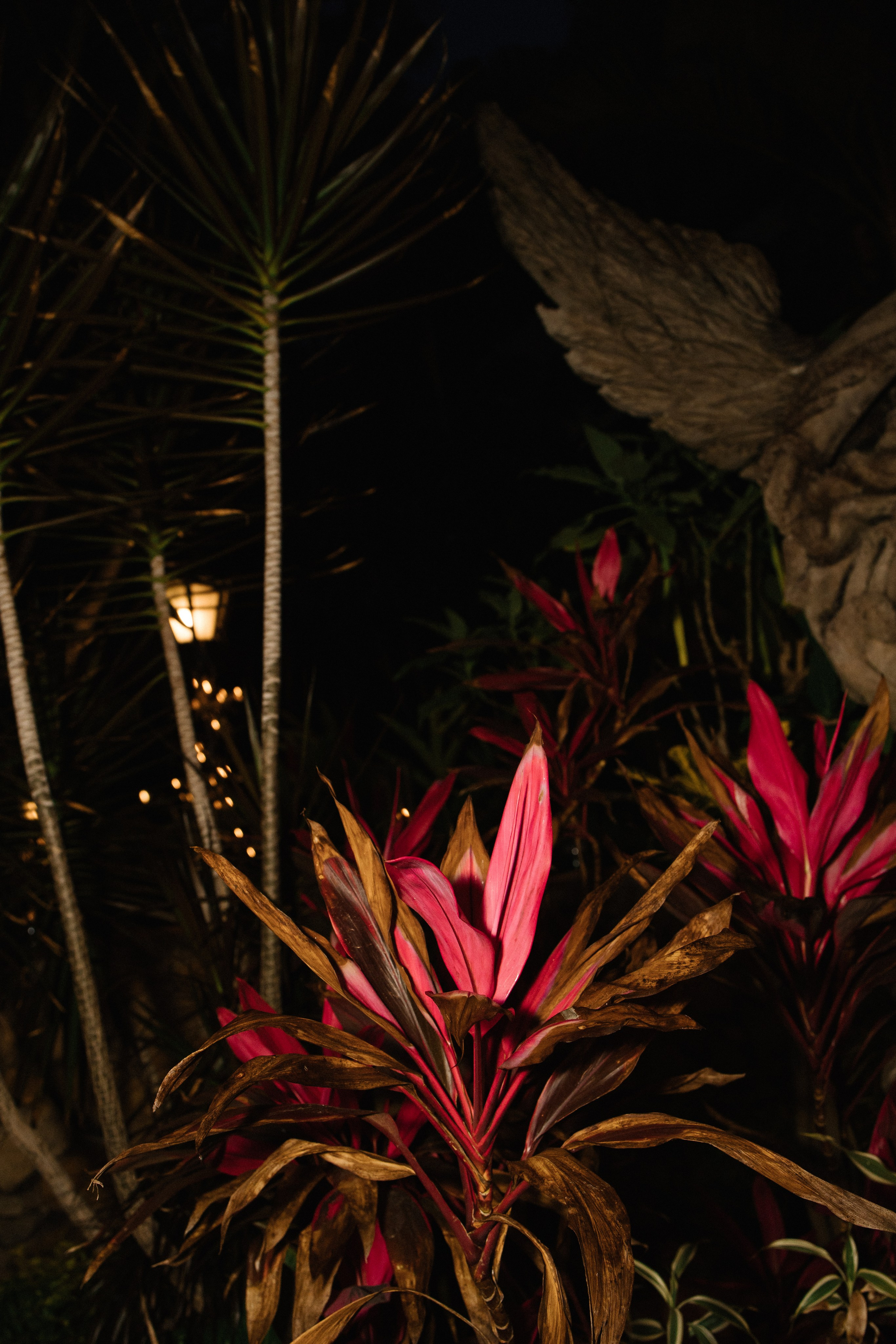 Hacienda Palo Maria, Puerto Vallarta. Wedding photographer Mexico Sayulita Puerto Vallarta Punta Mita Cabo