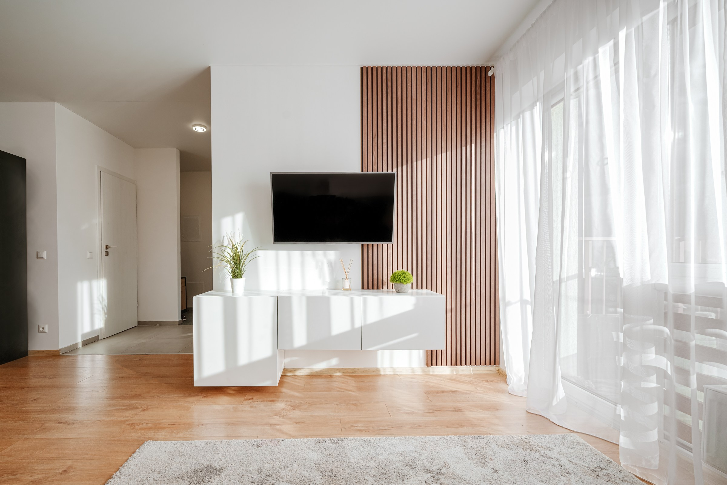 N.Lentvaris. Elina Sapiega fotografė Vilniuje