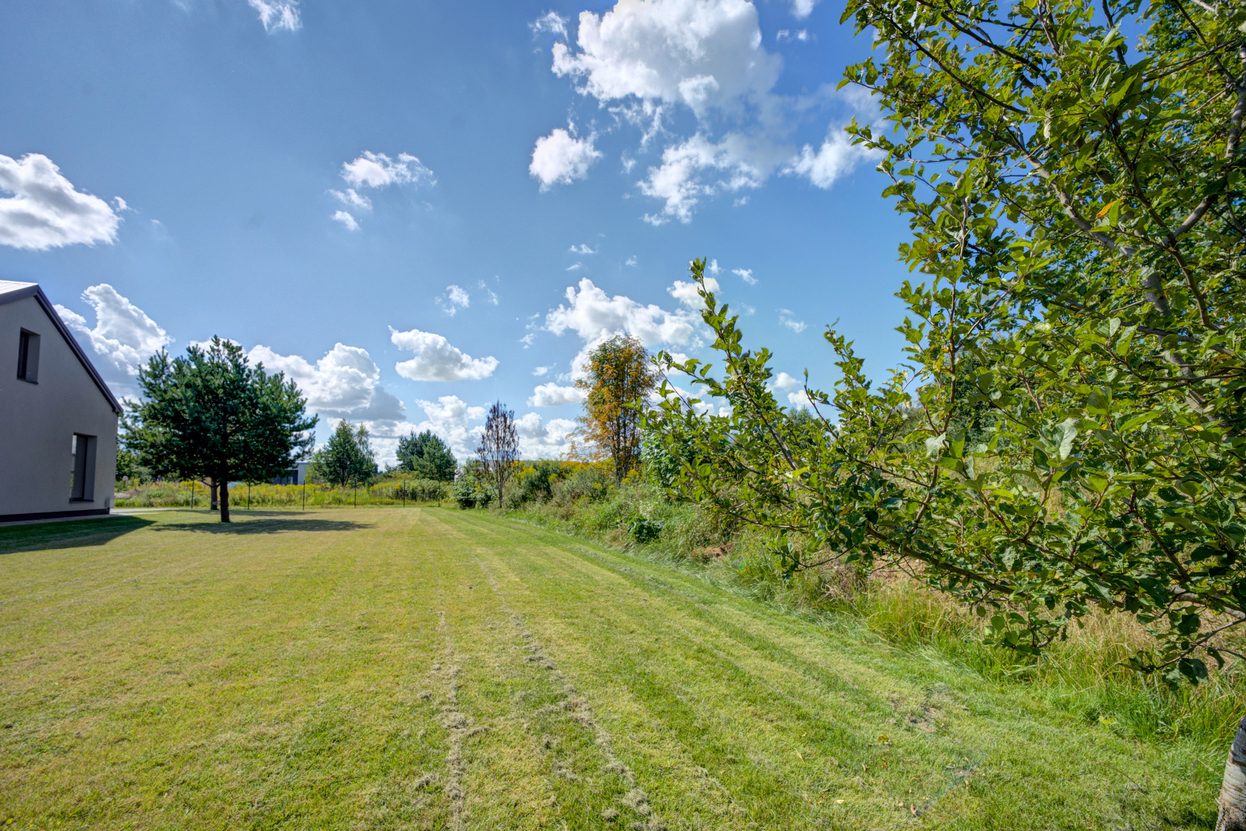 Knignešių g. namas. Elina Sapiega fotografė Vilniuje