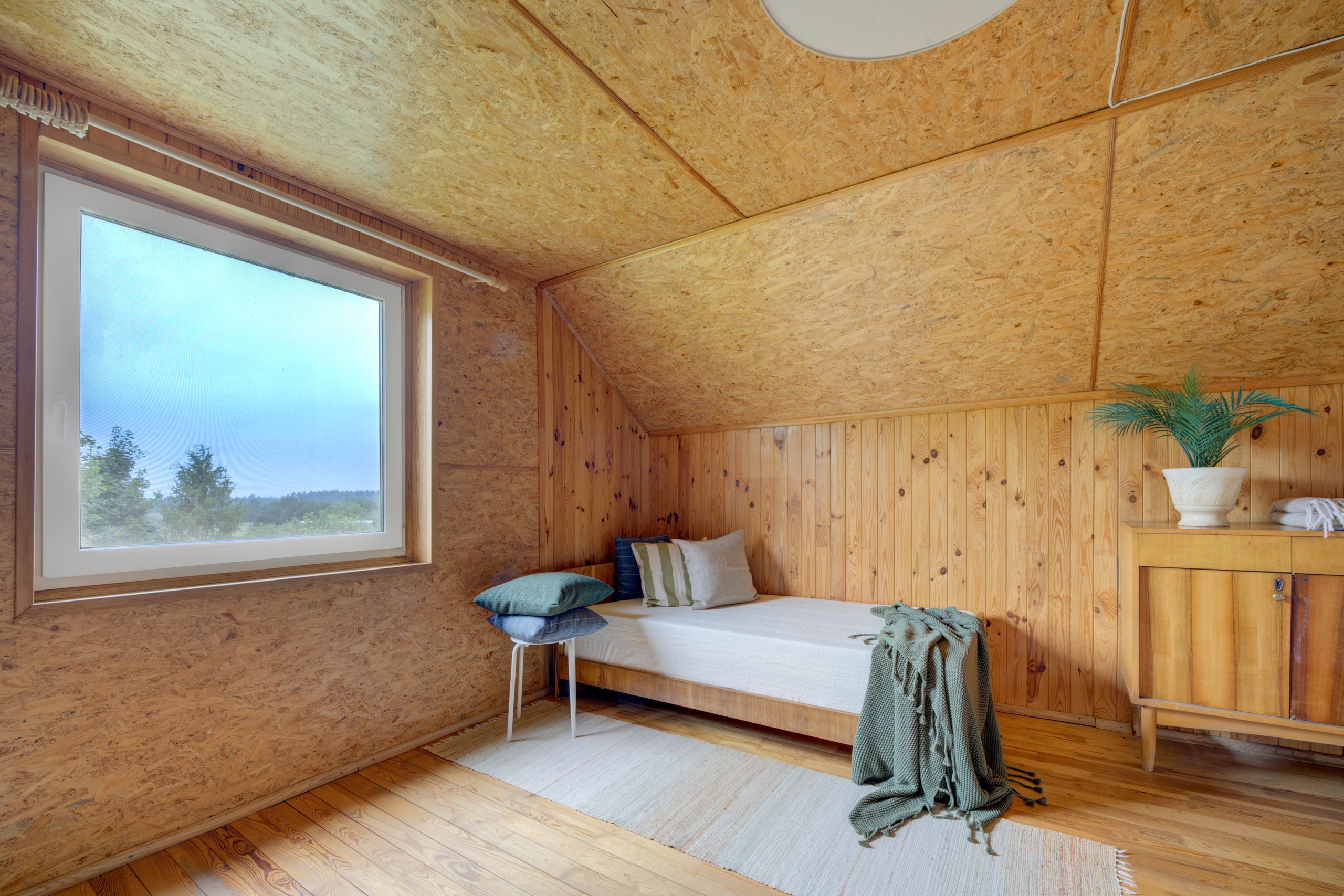 Varėnos raj. Elina Sapiega fotografė Vilniuje