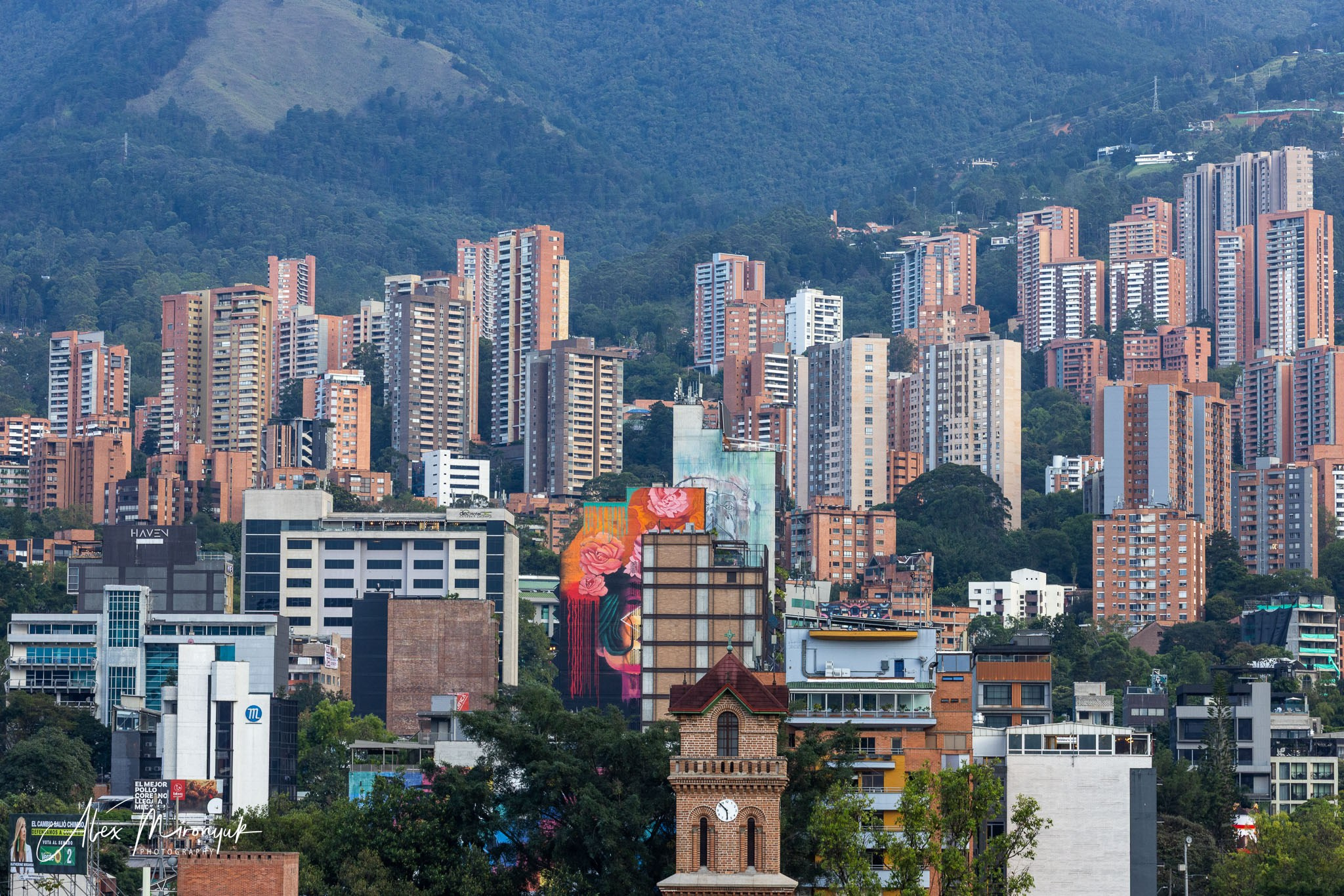 Colombia in Style. Pet, Senior, Landscape, portrait studio, photographer in Miami and Sou