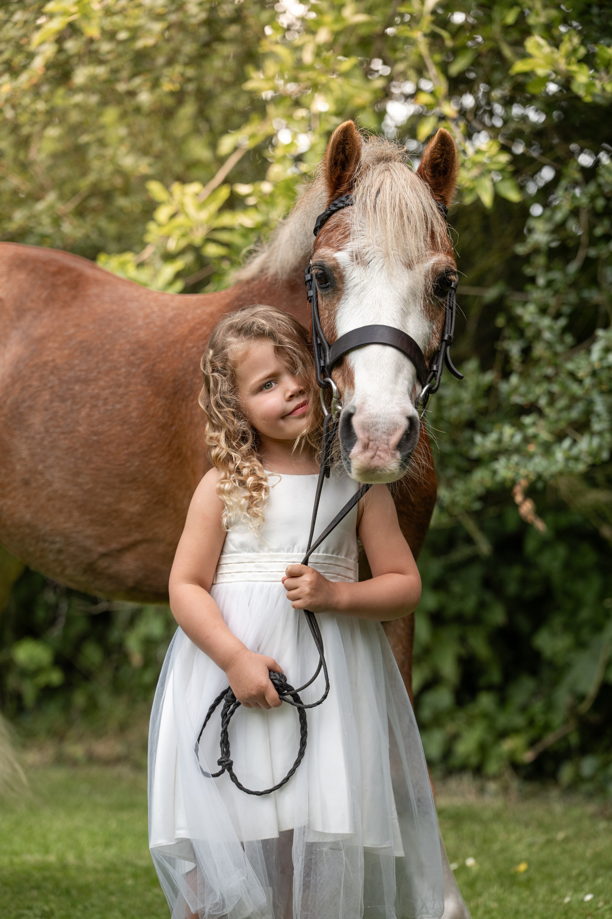 Equine Photography Portfolio | Leicestershire Horse Portrait Photographer. Leicestershire Equine Photography by El | Authentic Equine Portraits & Events