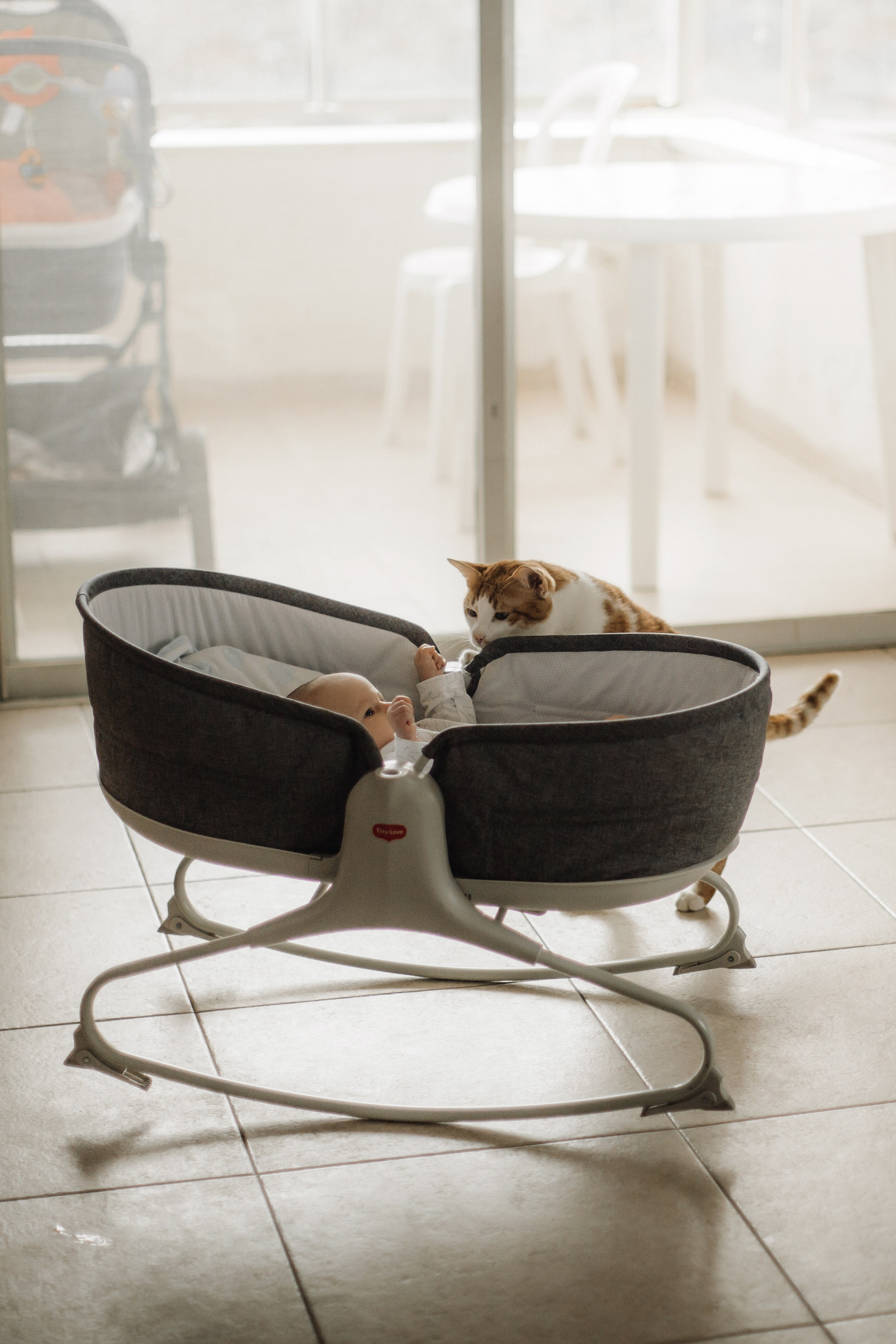 Sweet home / Ayala 3 month. Family photographer in Israel