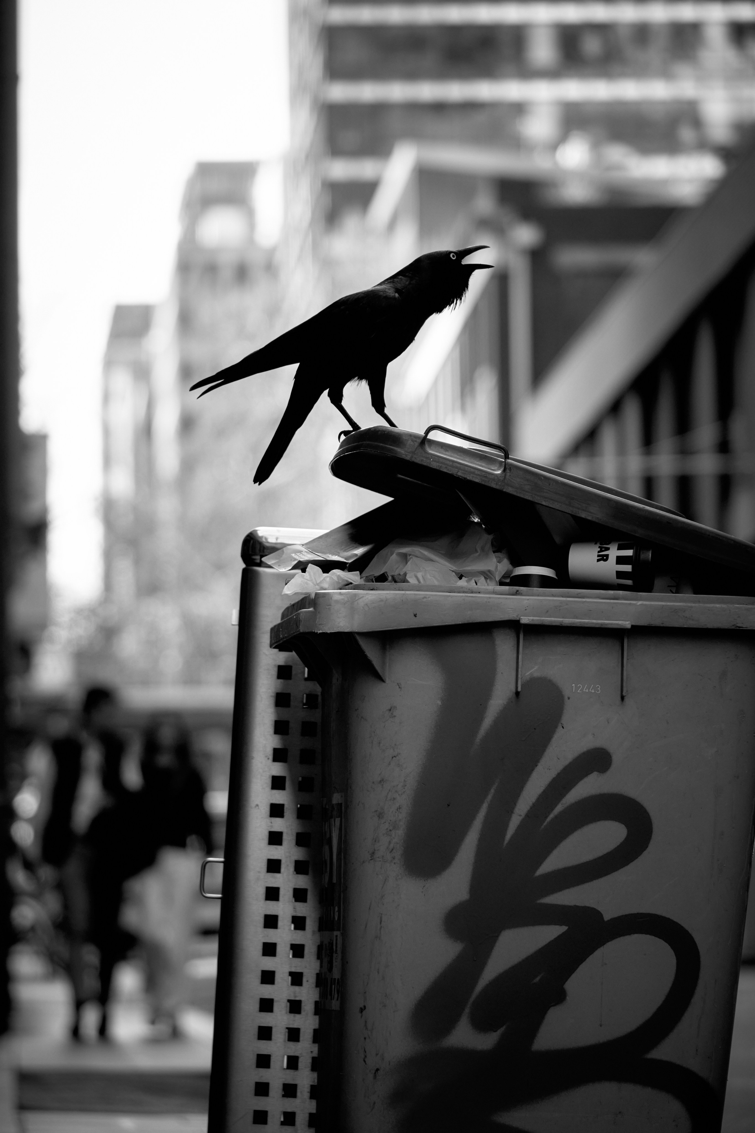 Melbourne Street Photography 2025. CARTER BNW