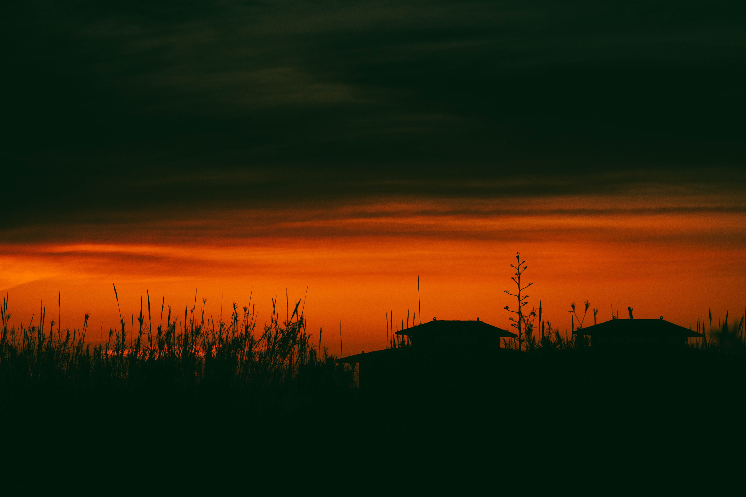 Bocetos. Alba del Norte Studio