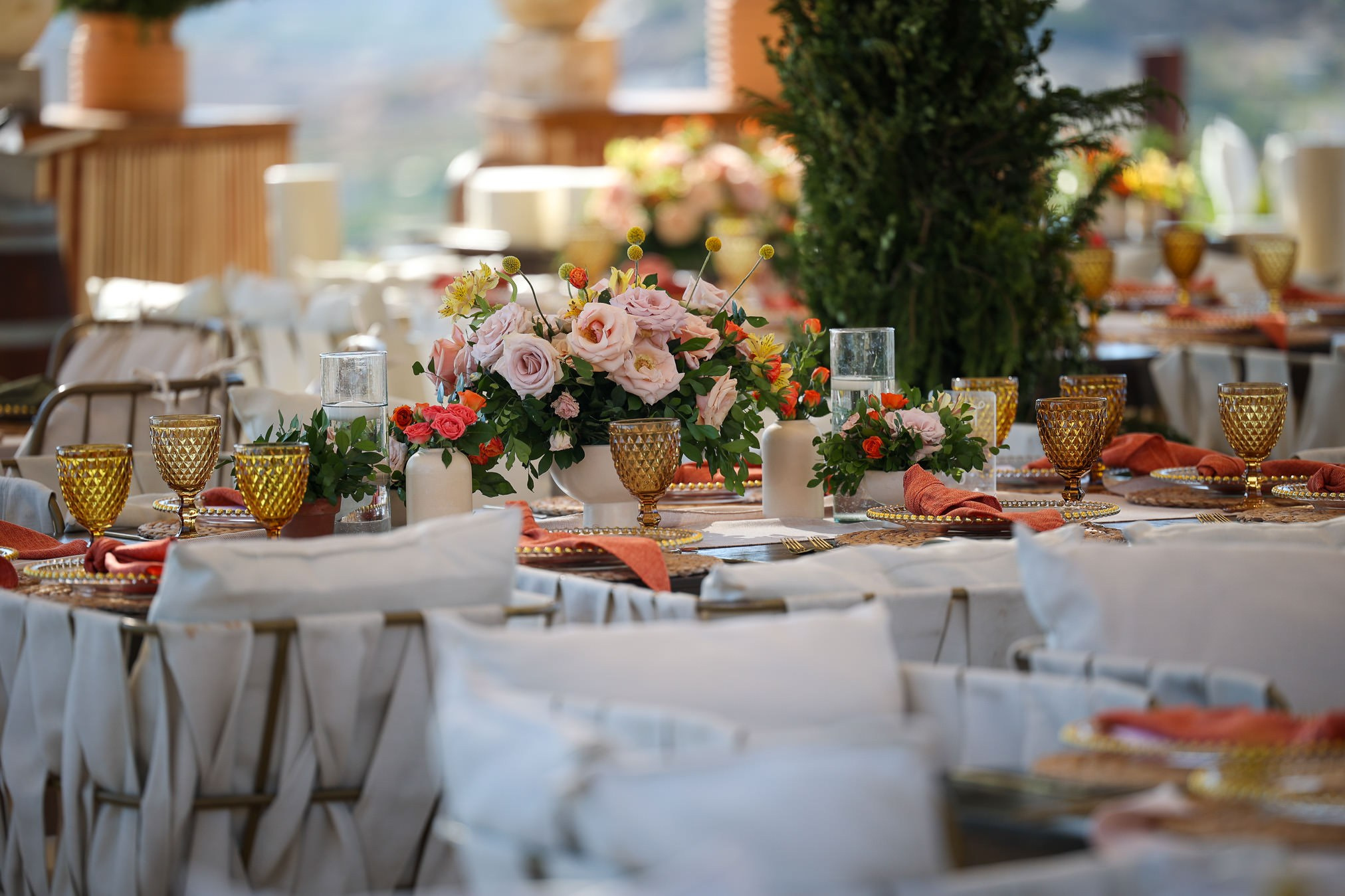 Valle de Guadalupe, Siempre Valle Boda Natalia y Carlos. Estudio de fotografia en Tijuana