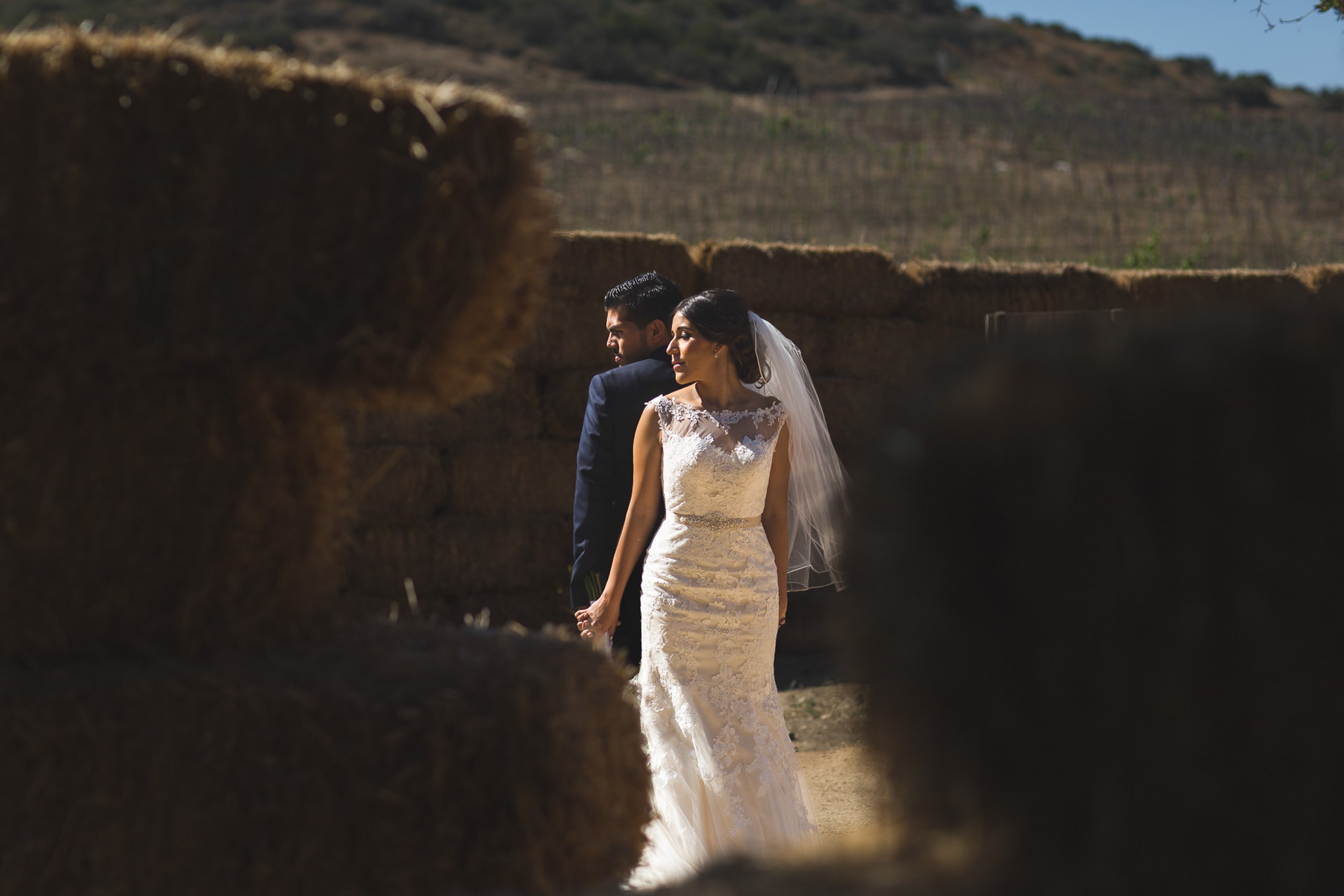 Valle de Guadalupe Boda Ilieana y Antonio. Estudio de fotografia en Tijuana