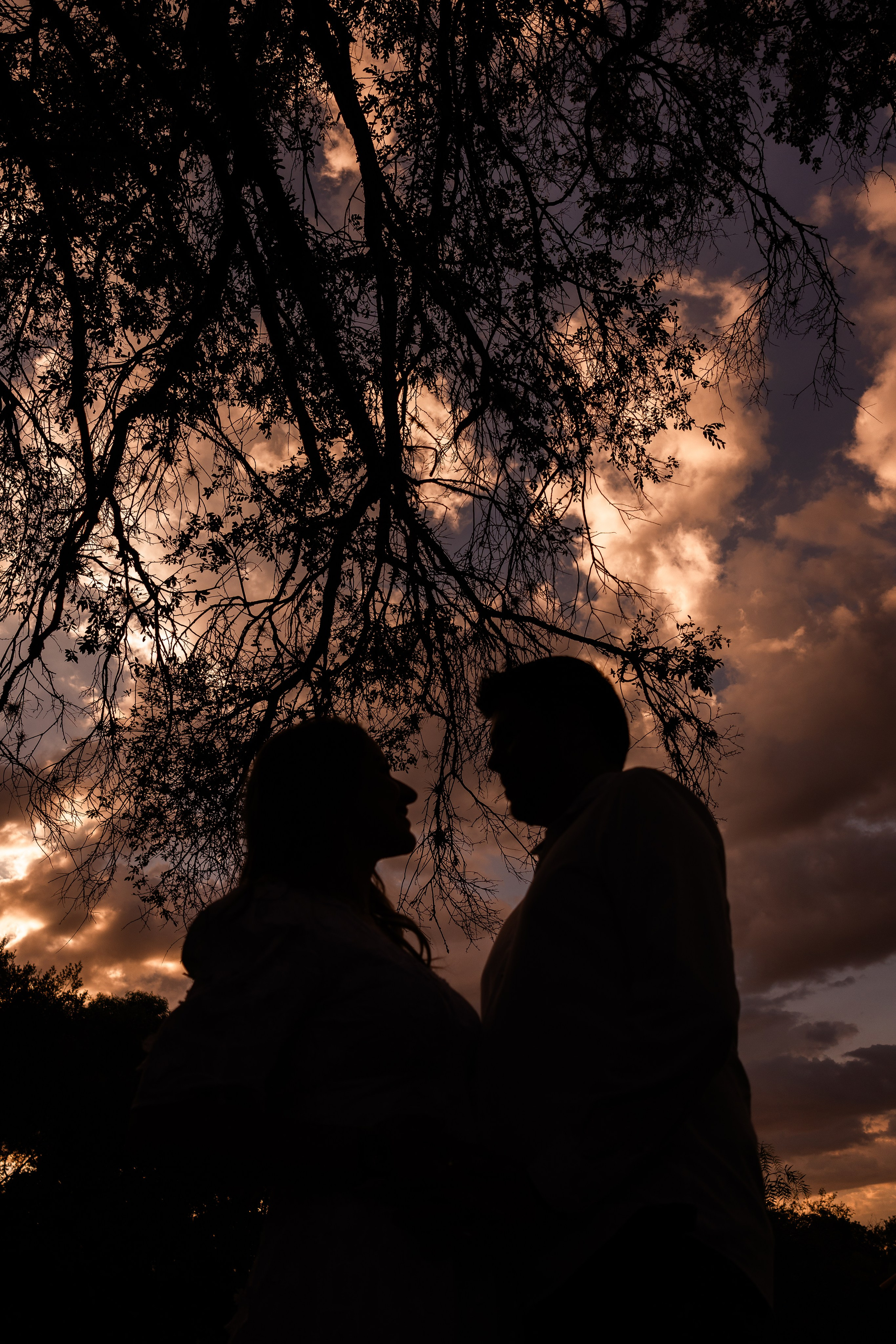 Chá Revelação Tania