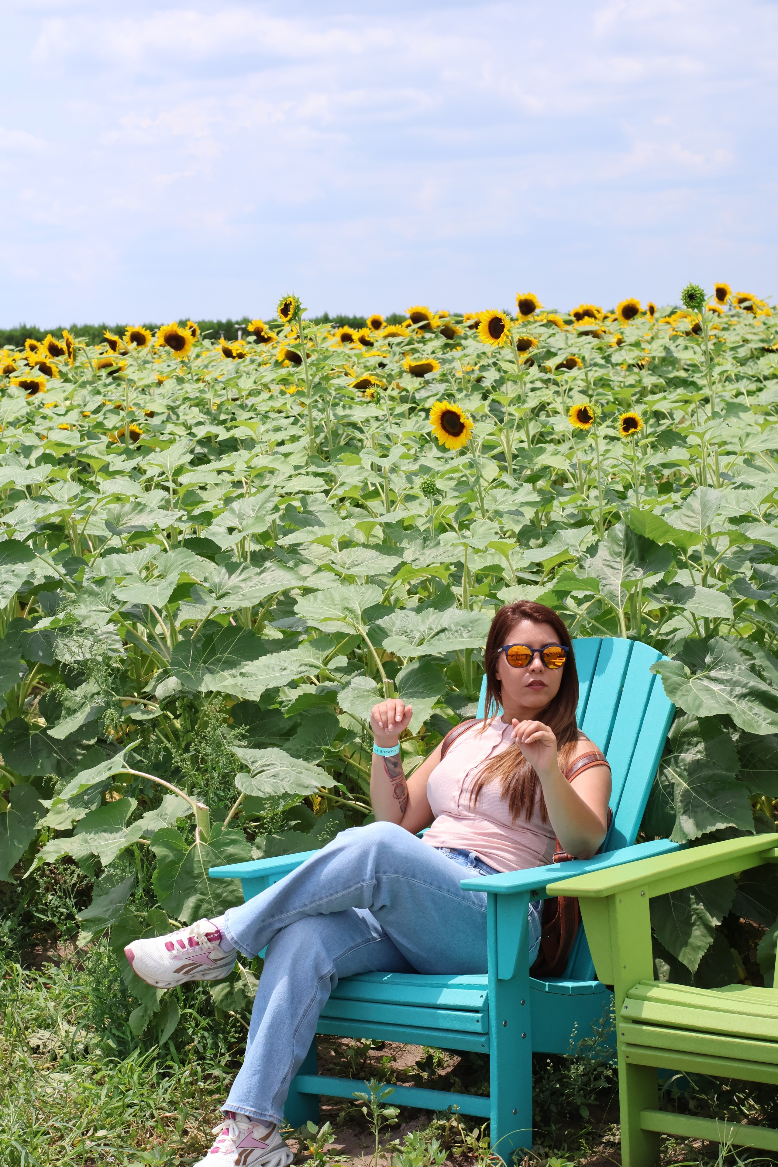 SUNFLOWERS. Workmakeapp Studio
