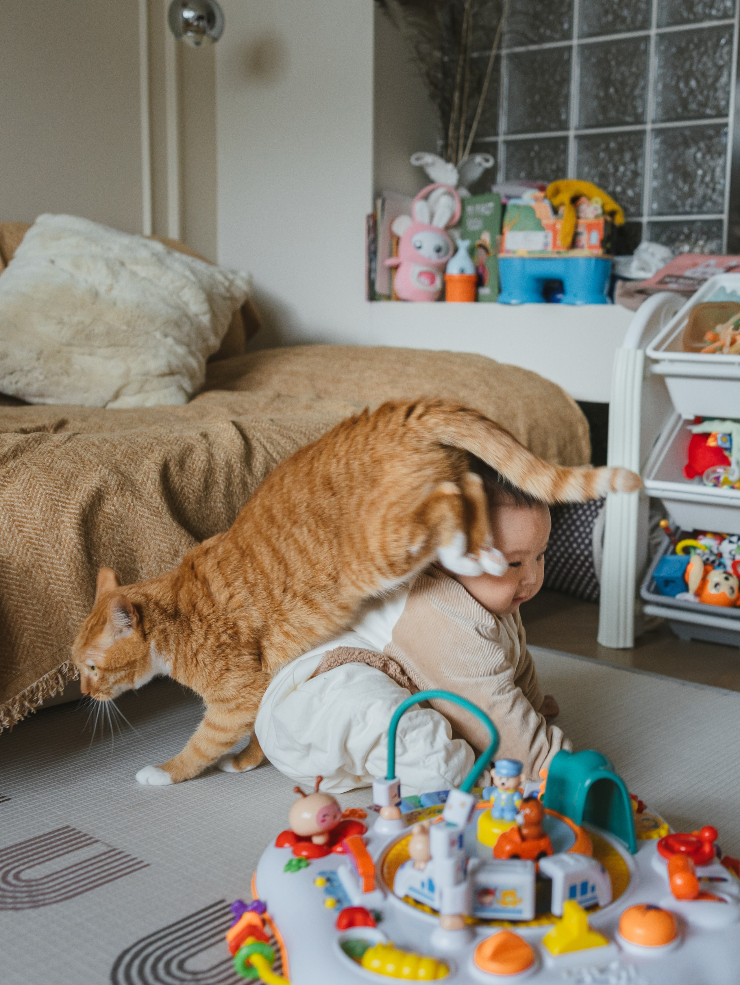 Photos of pets. Shanghai Family Photographer Dora