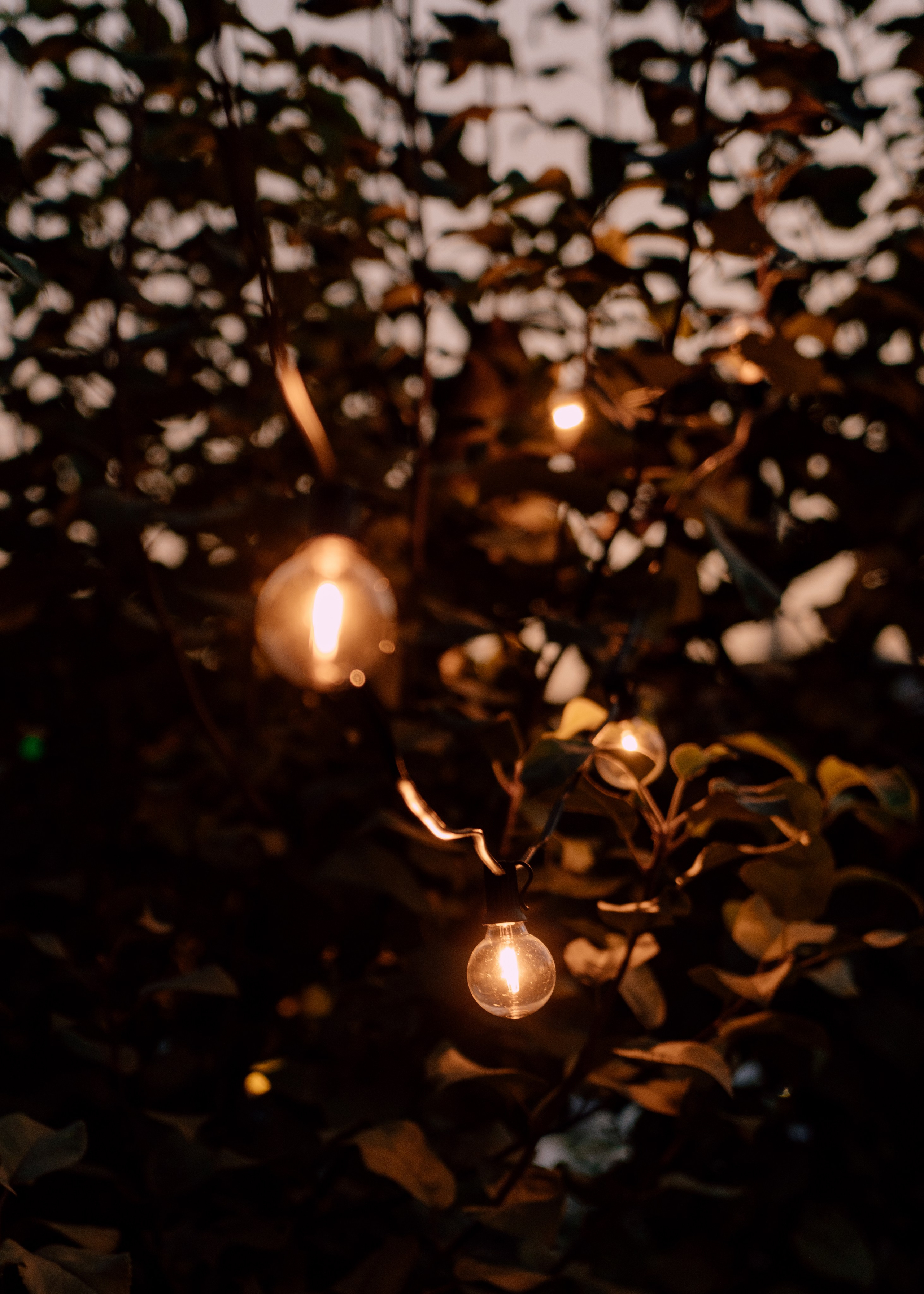 День Рождения Бори. YAADELINA Фотограф Аделина Багдасарян