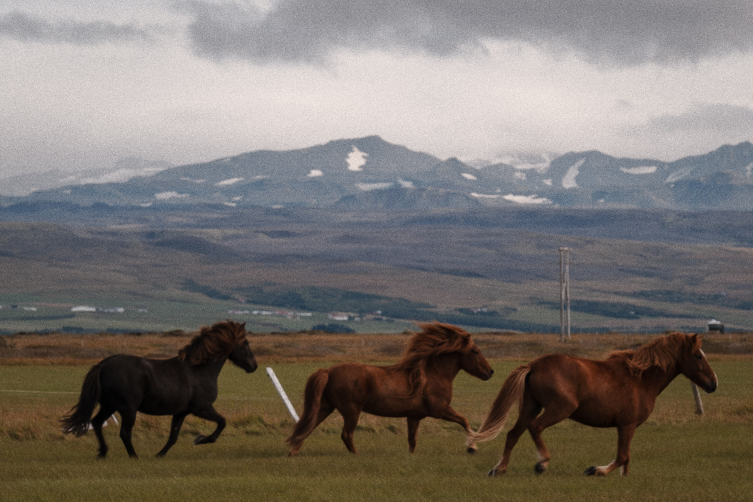 Iceland. Artjom Kutuzov Photography