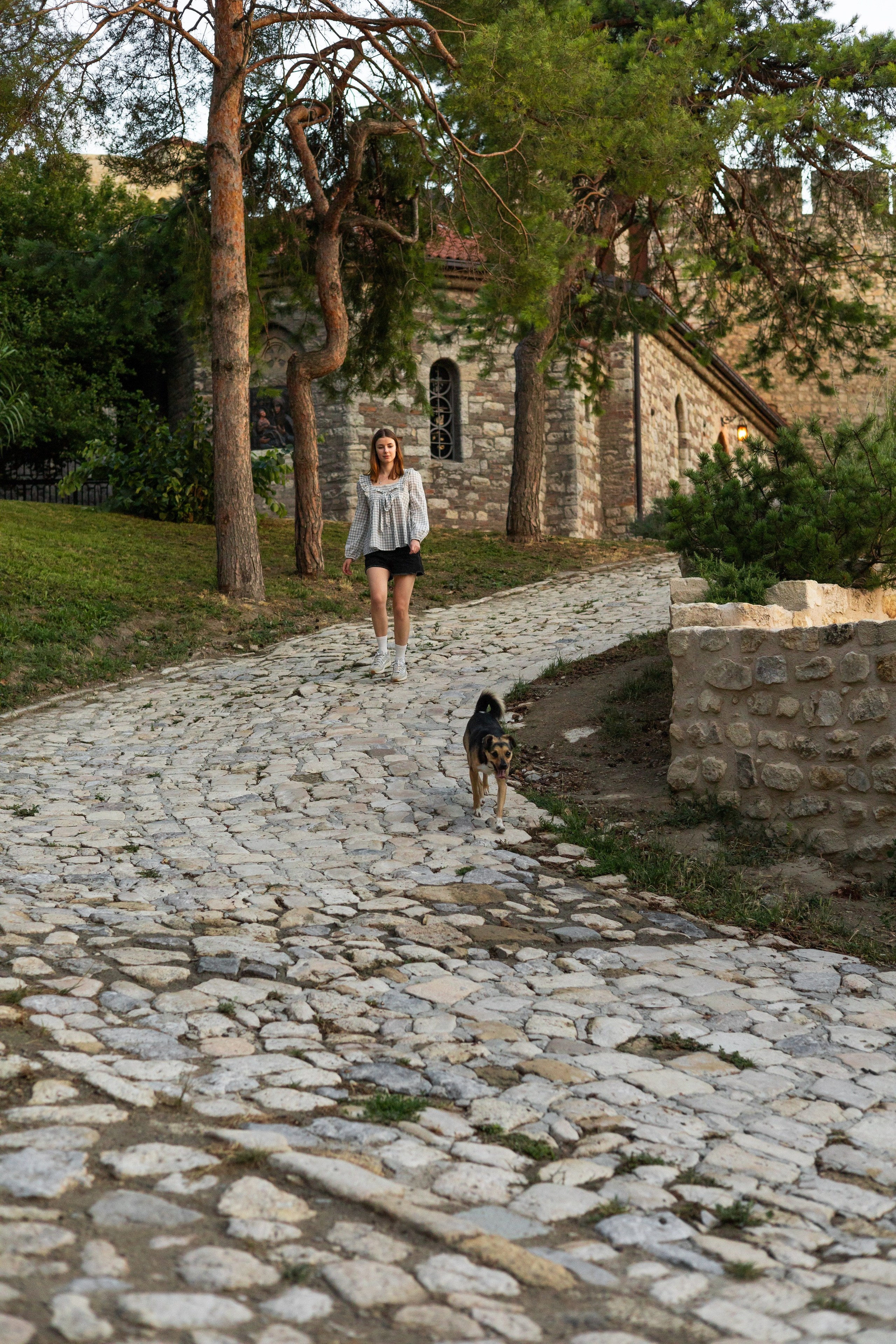 Настя, Денис и Мося. Фотограф-анималист | Белград