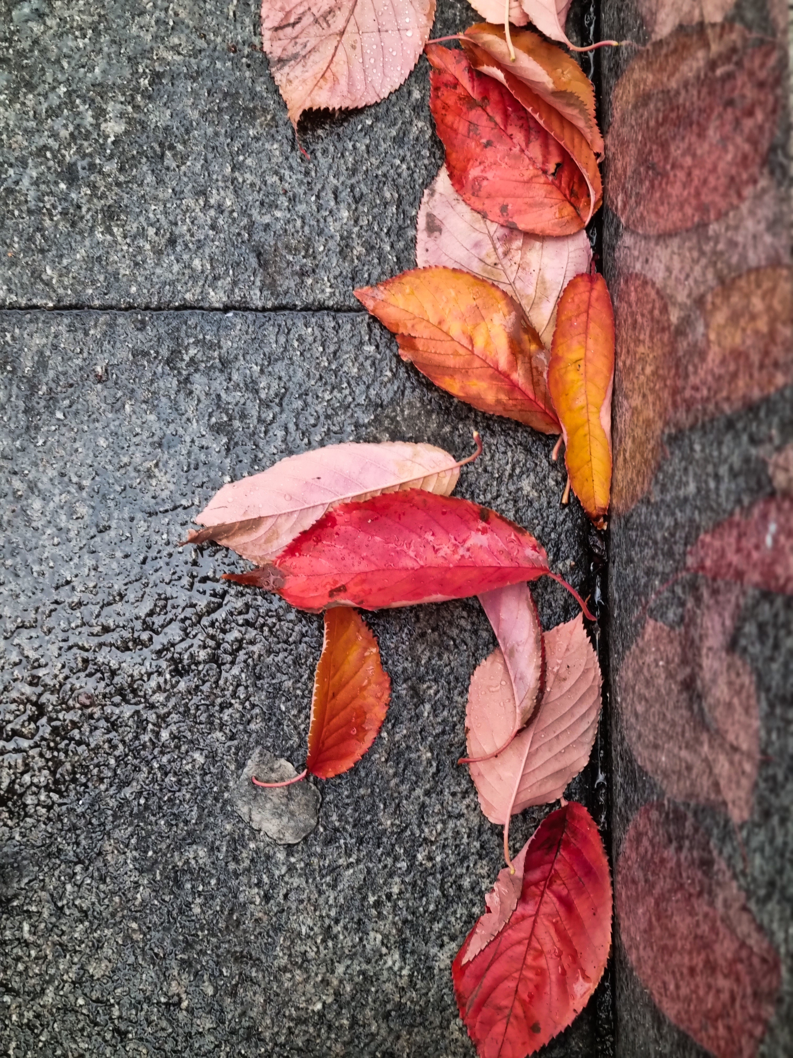 Natur und Stadt. Marina, Fotograf aus Nürnberg