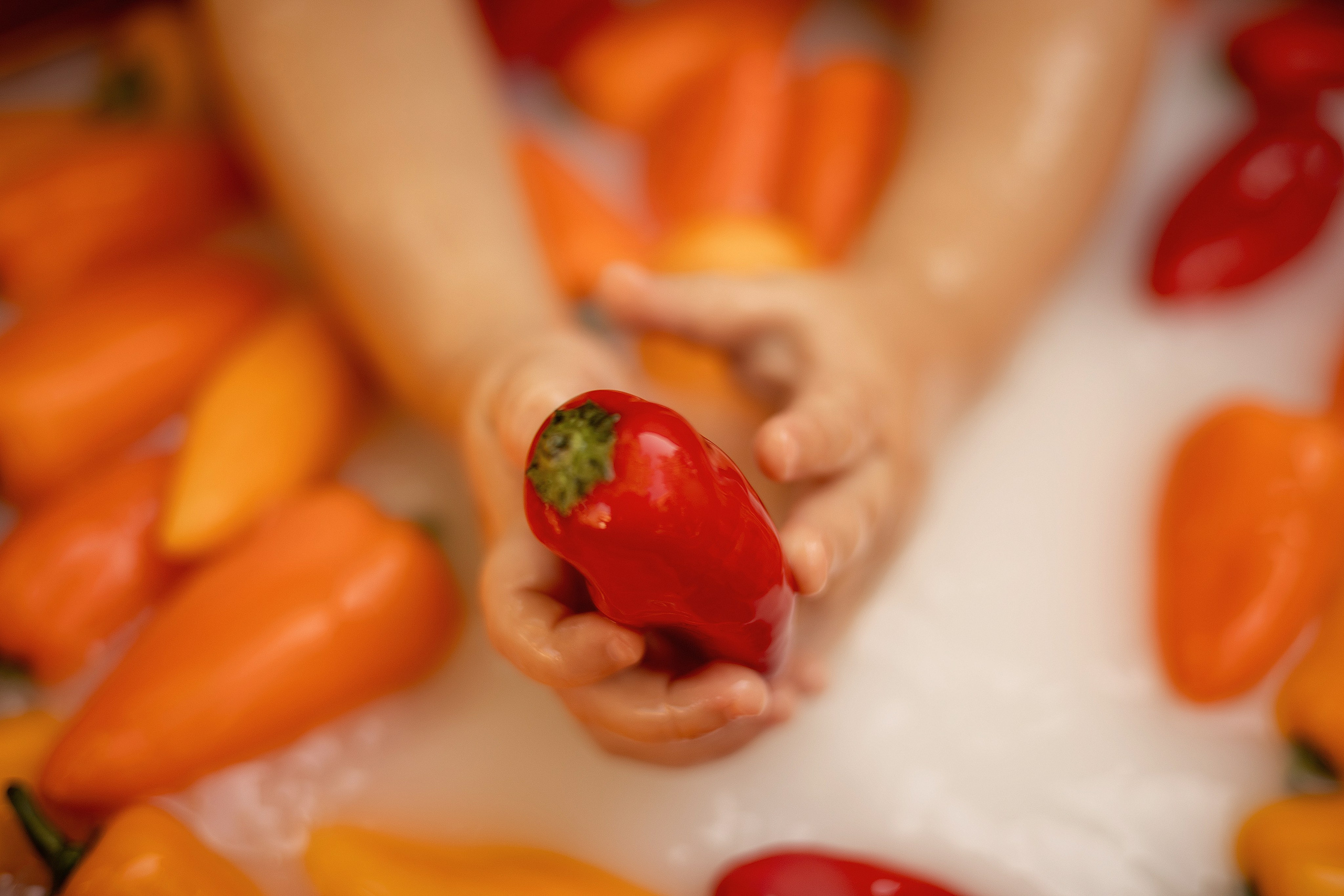 Newborn baby in the tub. Bay Area Photographer: family, maternity, love story, wedding