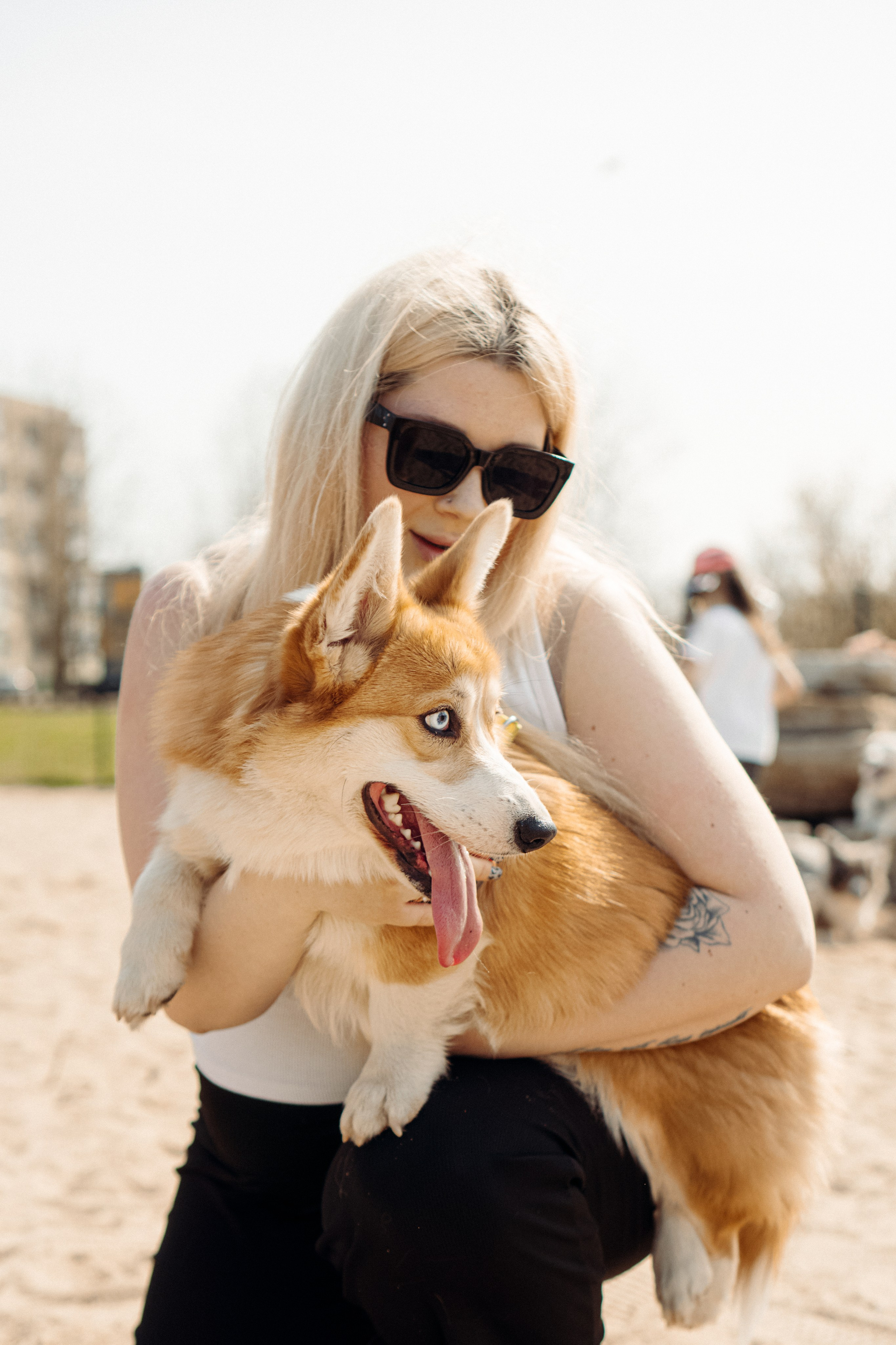 Corgi party, 18 apr. 2025. Kat Laisaar — Pet photographer in Tallinn