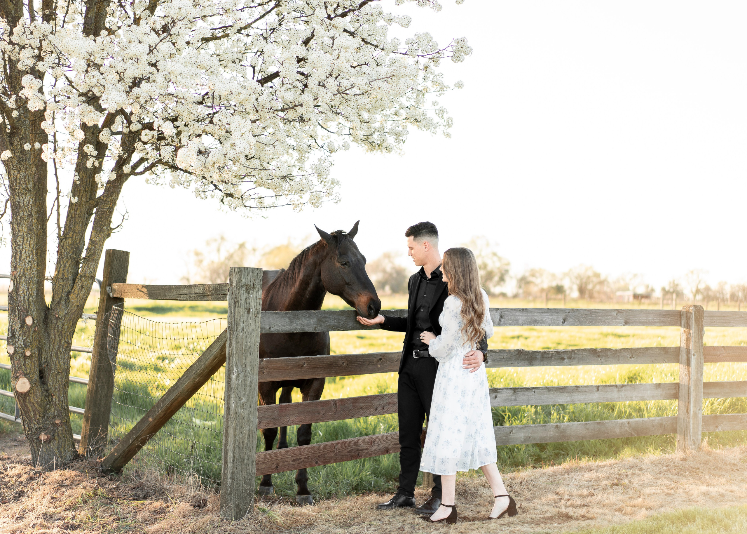 Artem & Lida. Family photographer in Sacramento | Sofia Pavenko