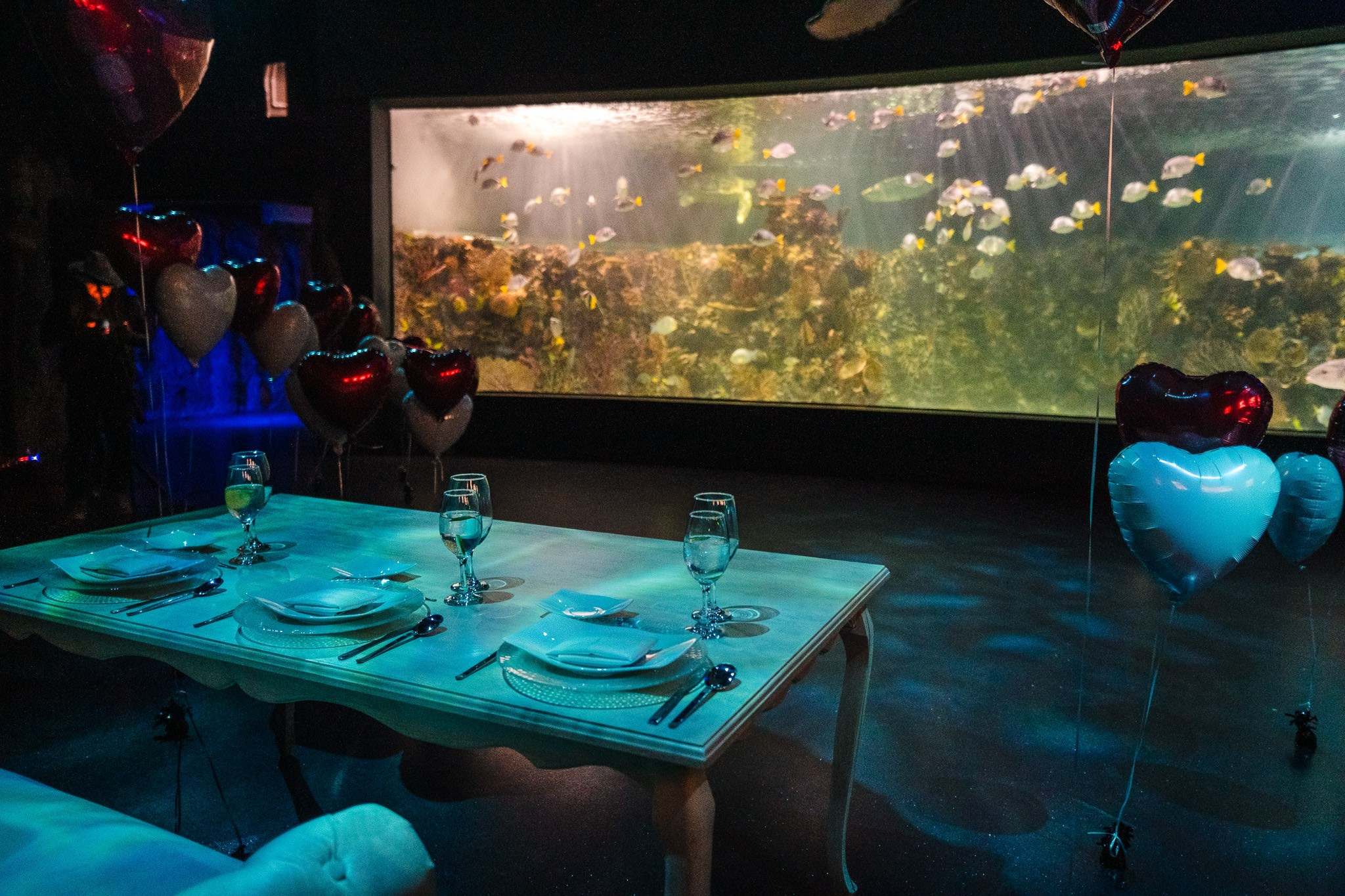 Ricardo & Bere. Wedding and family photographer in Mexico City