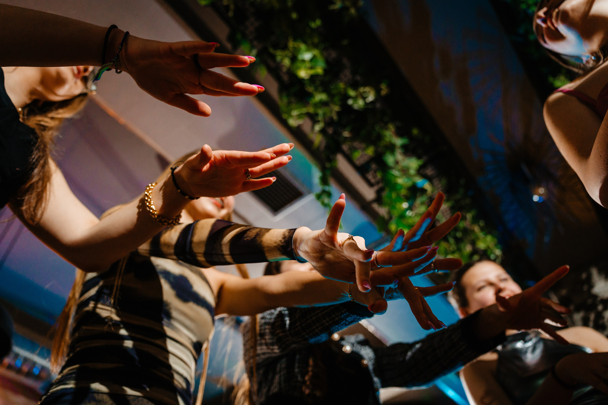 Maia. Derevlean Daniel Fotograf