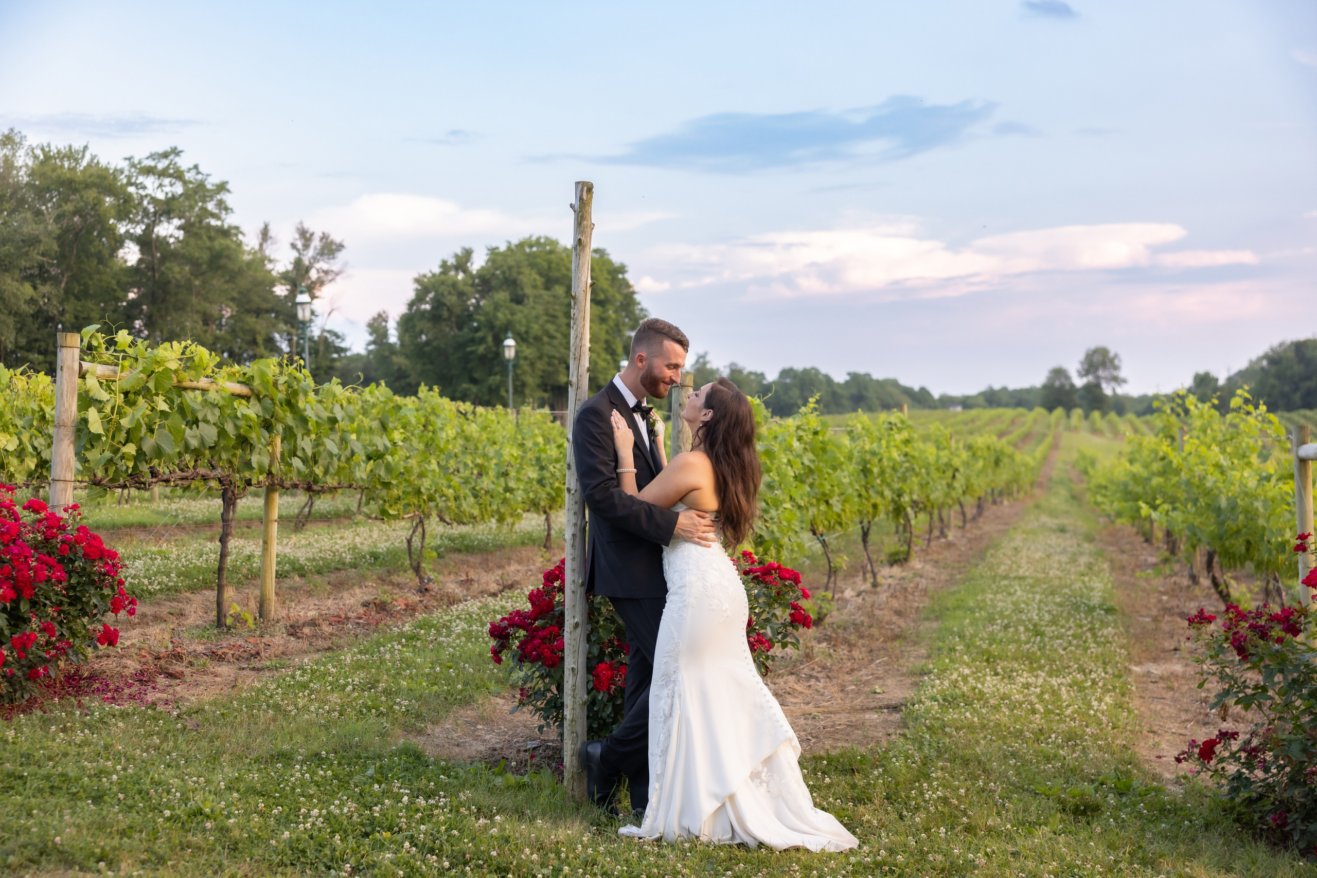 Angelica & Conor. Wedding Photo & Video